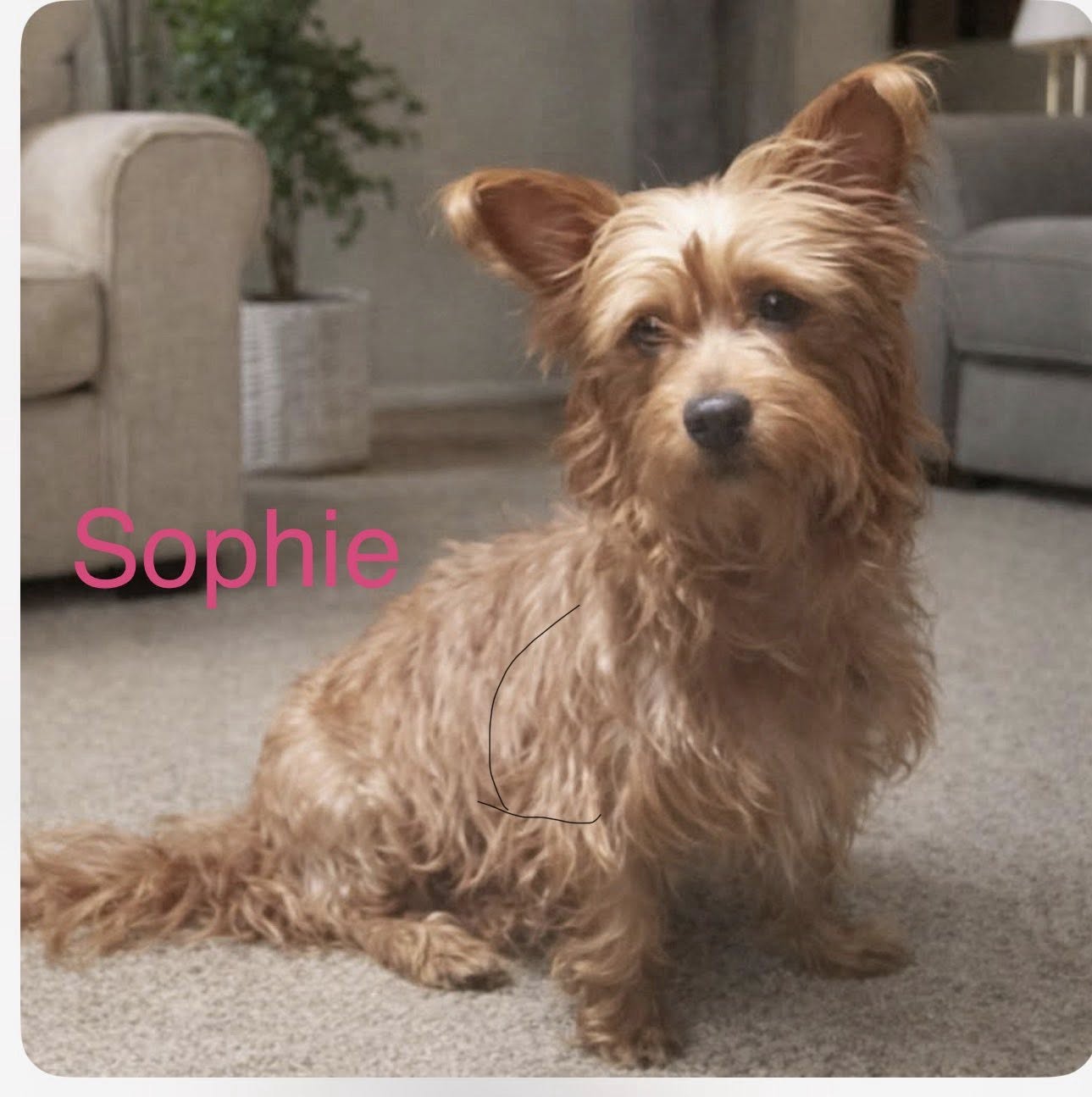 Photo 10 of 10 — Sophie Mar 26