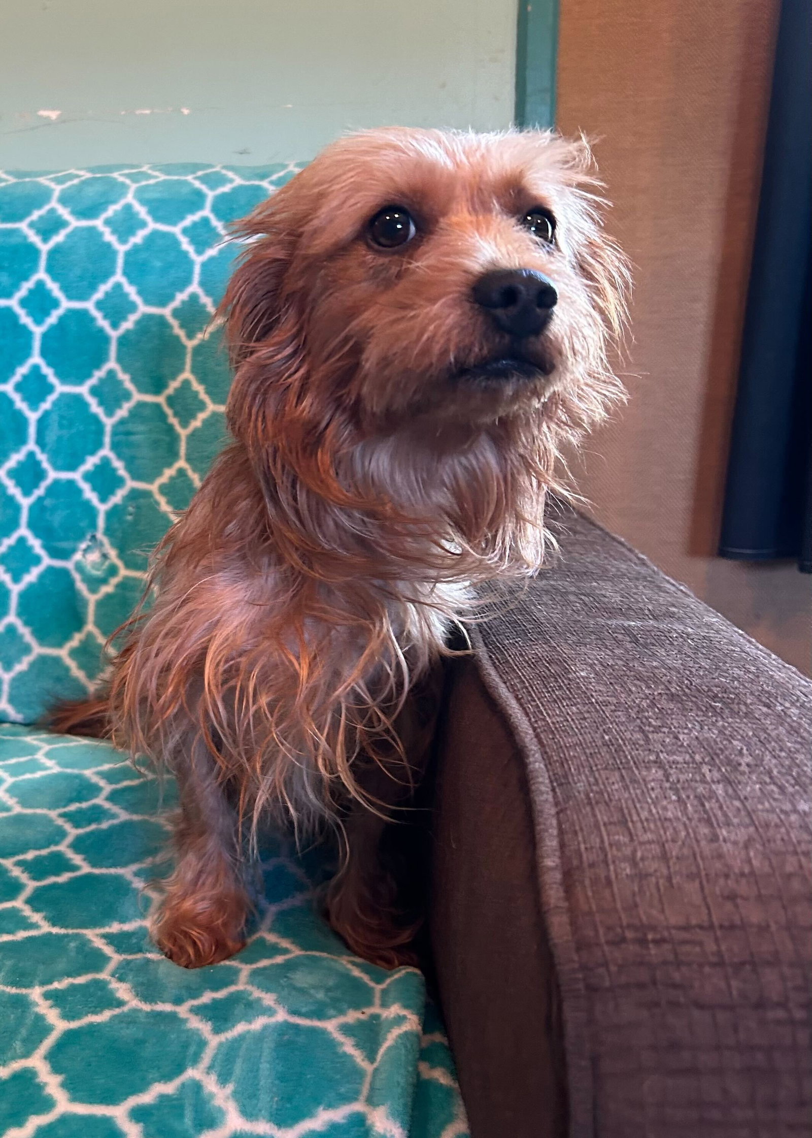 Photo 6 of 10 — Sophie Mar 26
