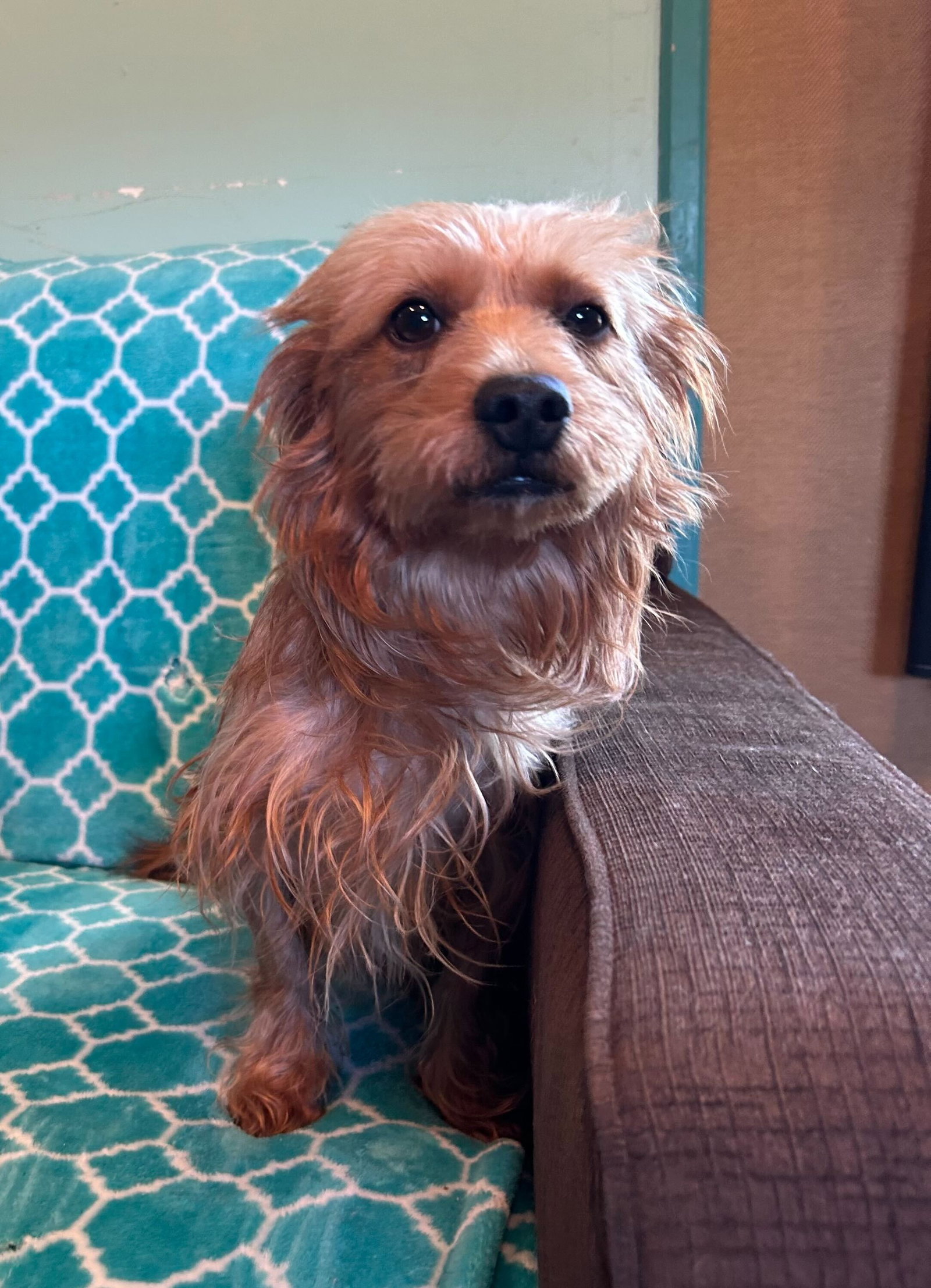 Photo 9 of 10 — Sophie Mar 26
