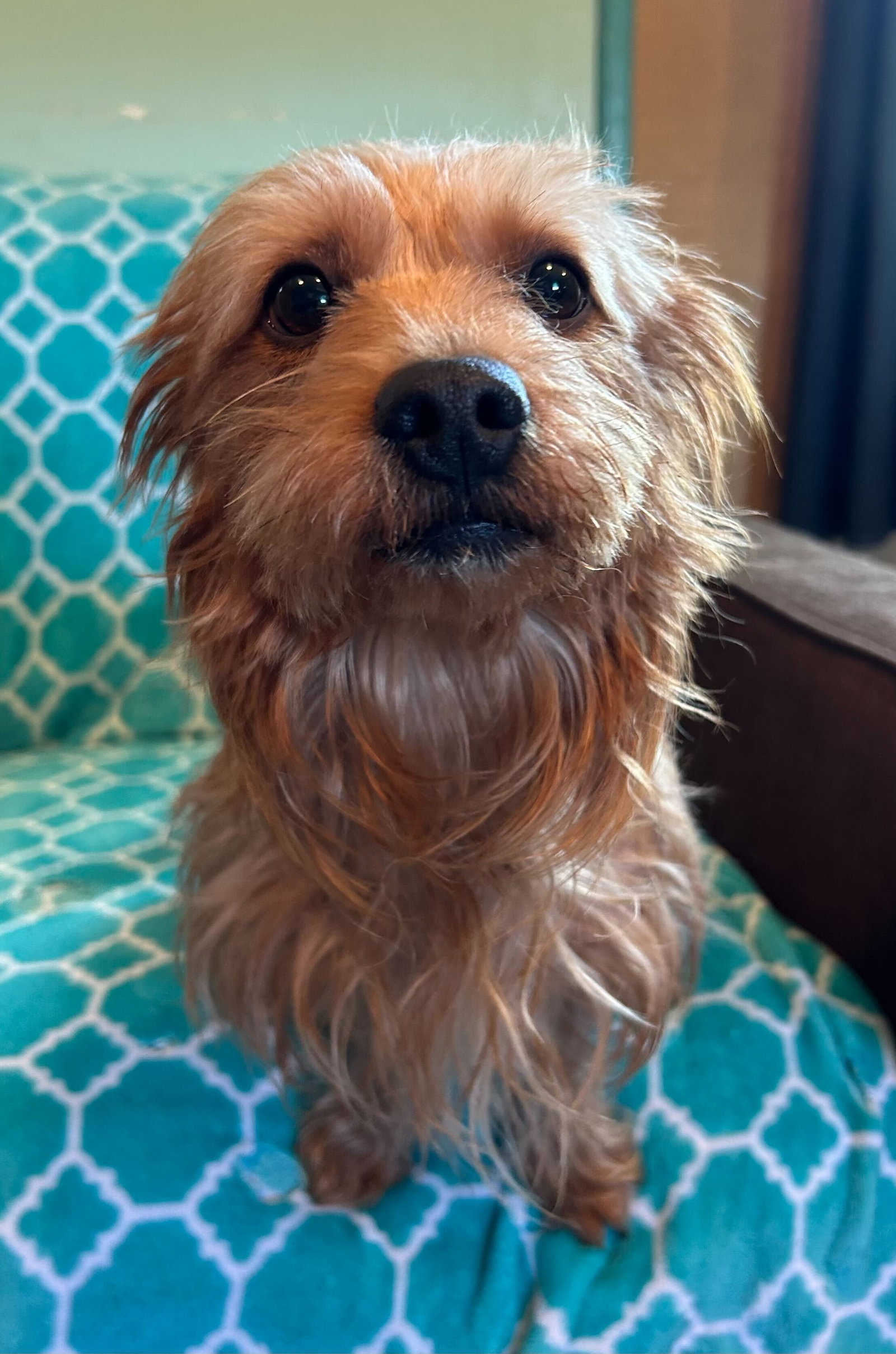 Photo 7 of 10 — Sophie Mar 26