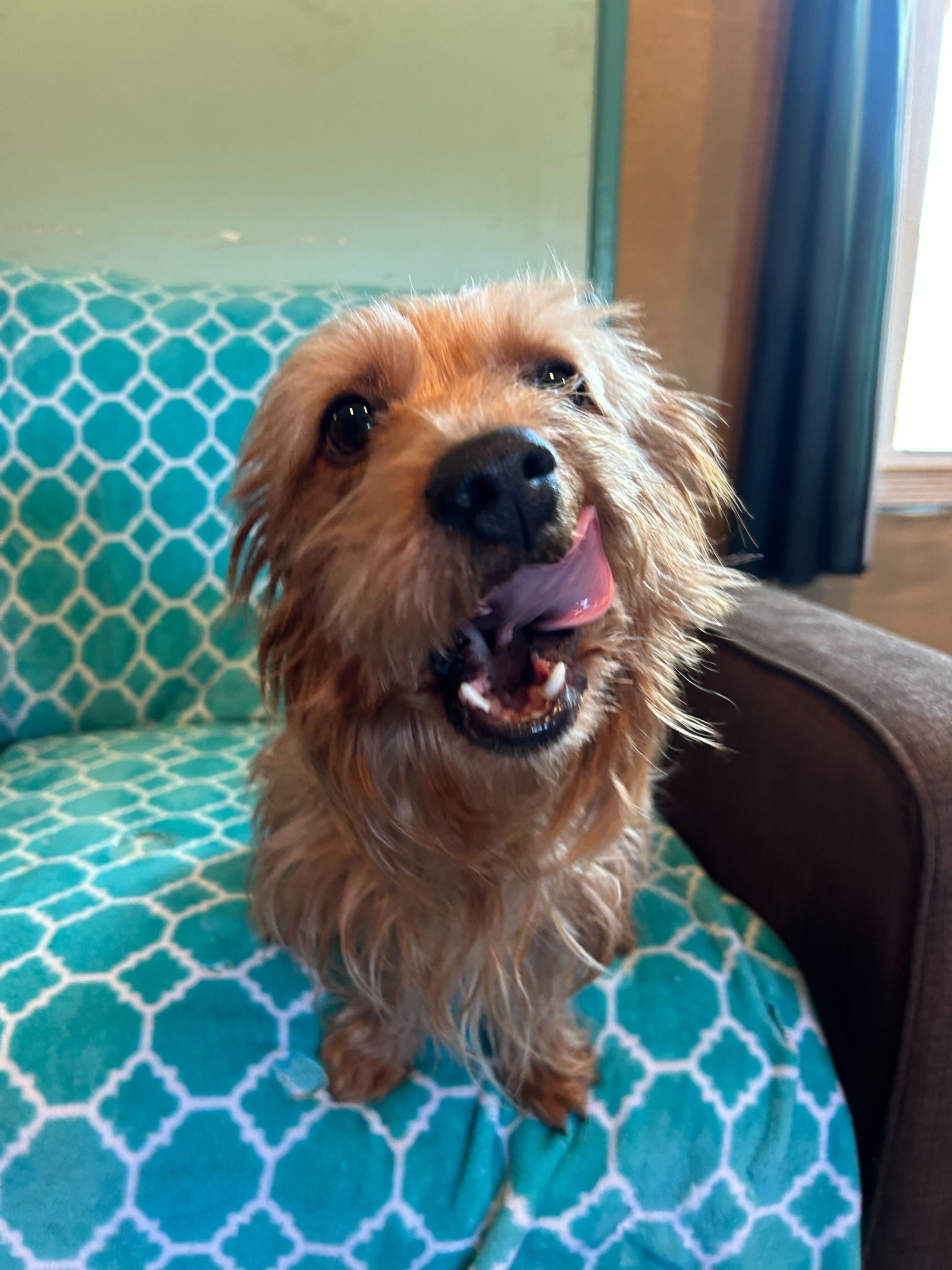 Photo 8 of 10 — Sophie Mar 26