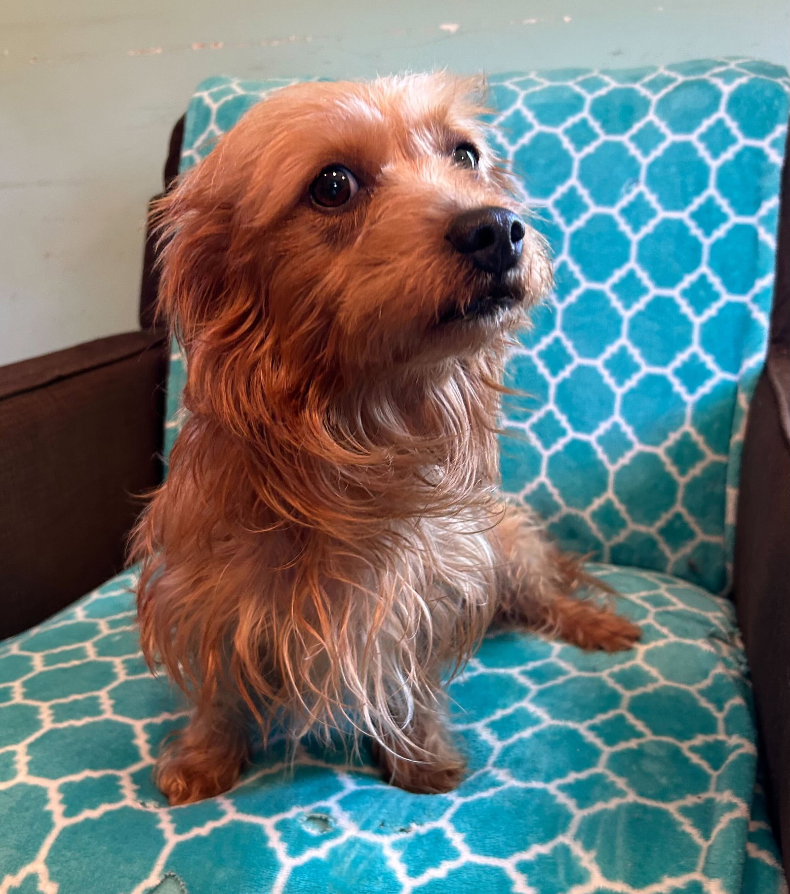 Photo 3 of 10 — Sophie Mar 26