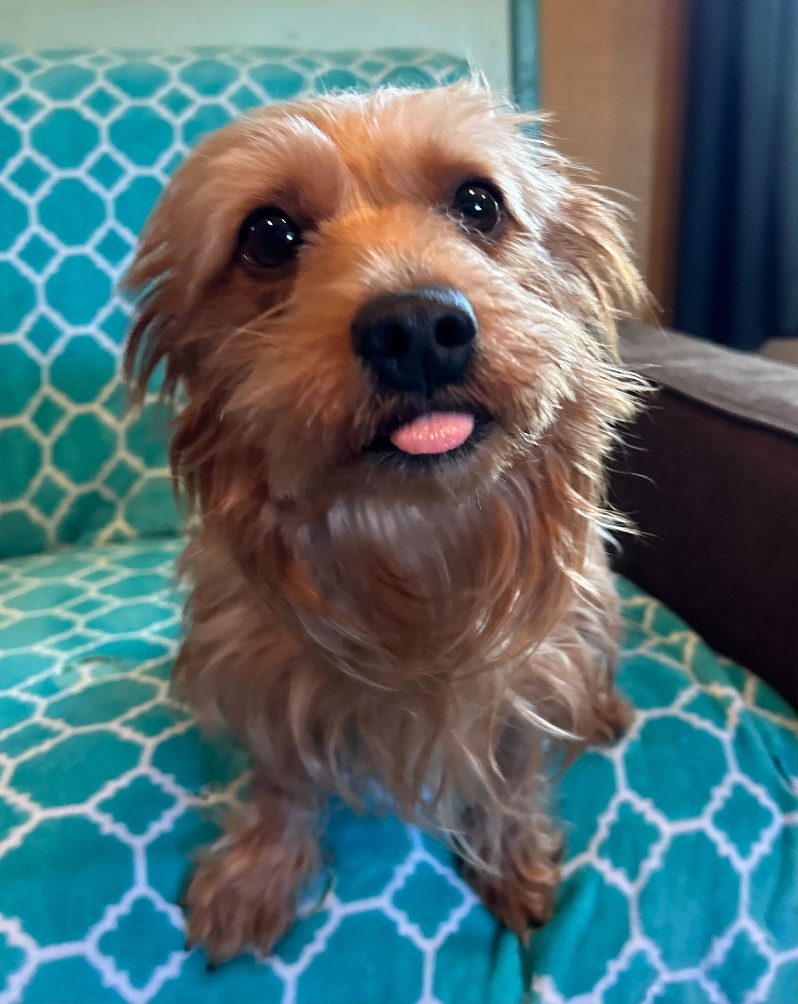 Photo 4 of 10 — Sophie Mar 26