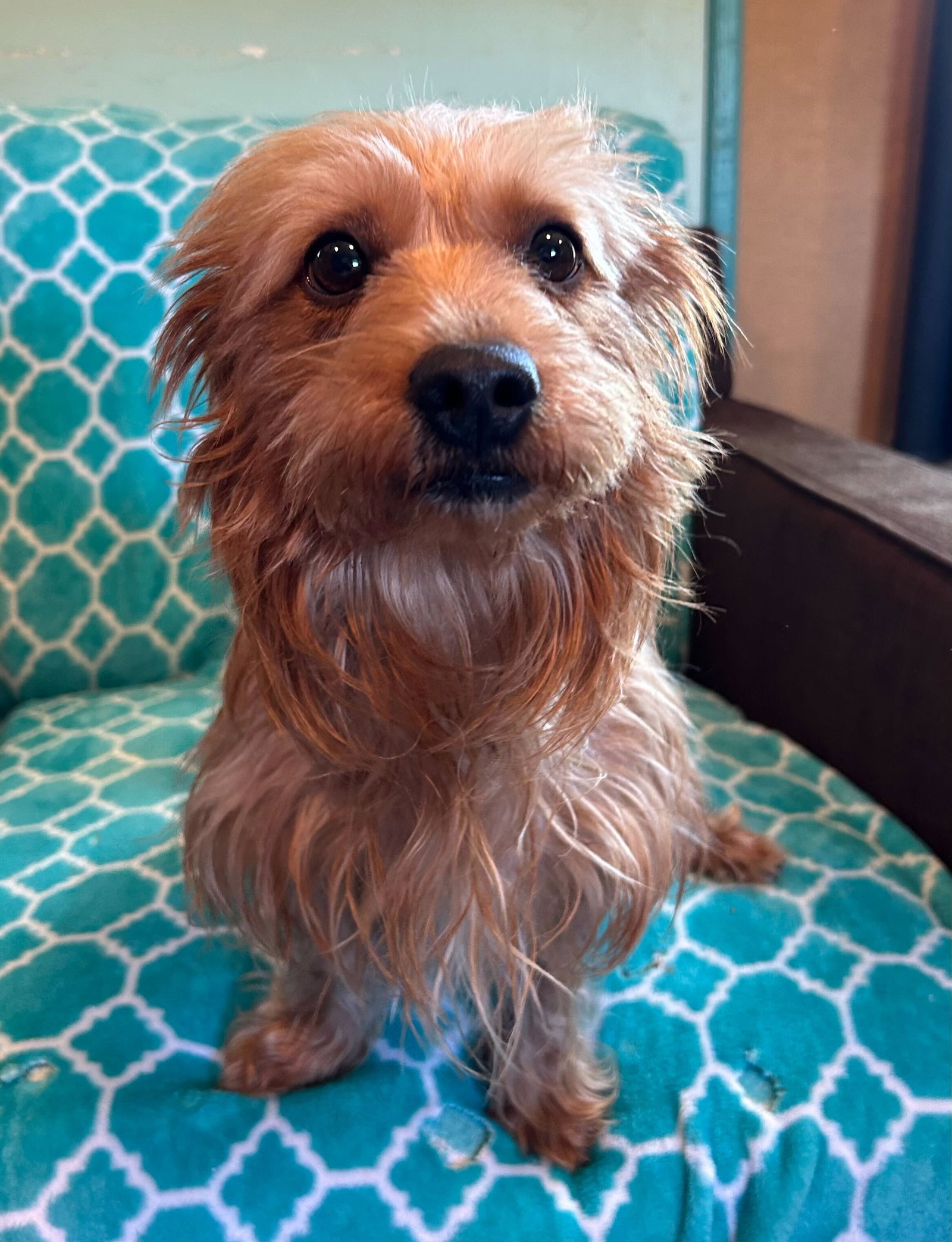 Photo 5 of 10 — Sophie Mar 26