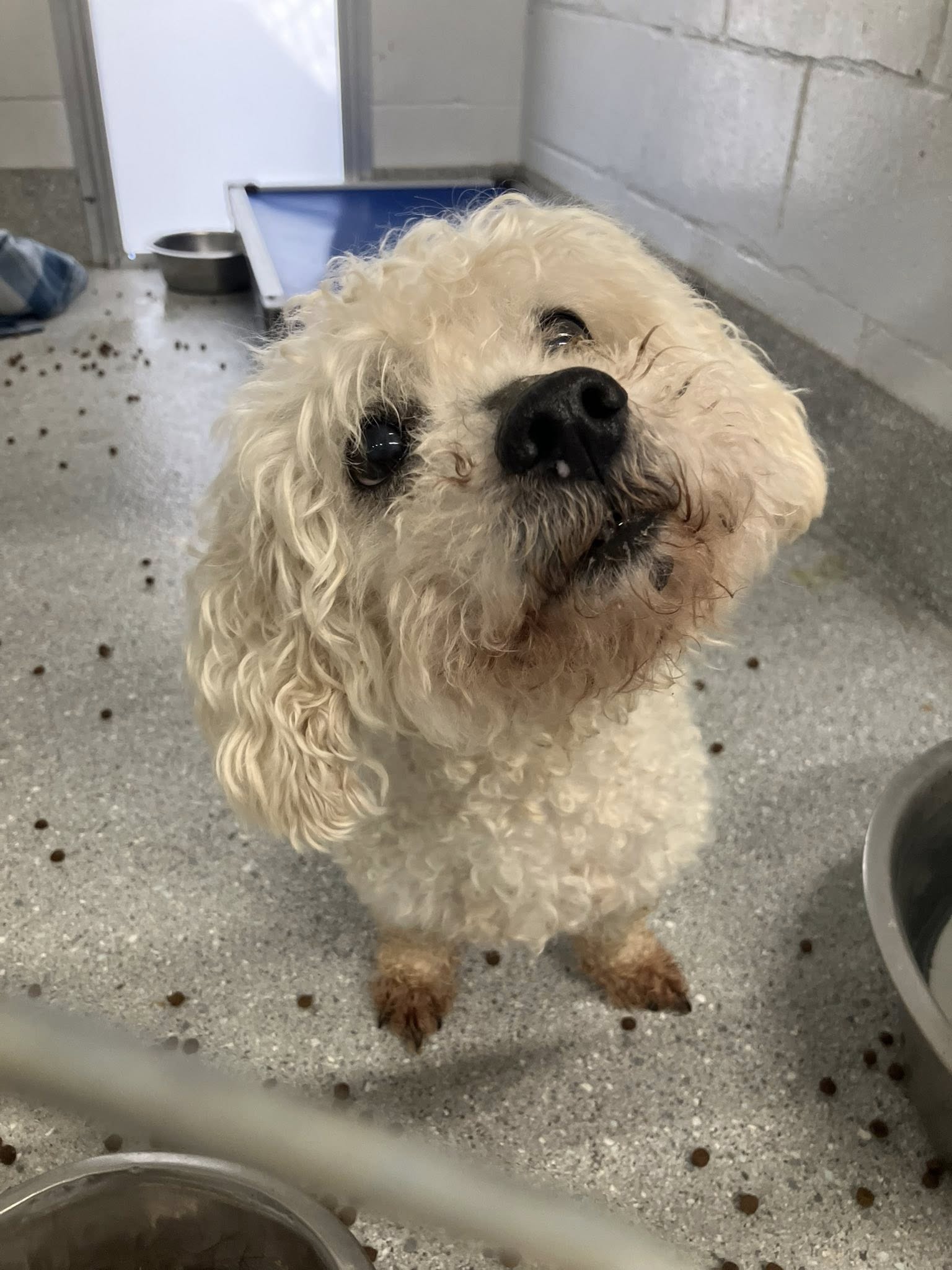 Photo 3 of 4 — Chowder Apr 26