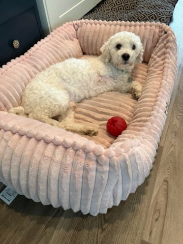 Photo 2 of 6 — Cooper Apr 26 In Foster in Greensboro, NC