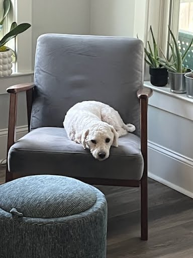 Photo 3 of 6 — Cooper Apr 26 In Foster in Greensboro, NC