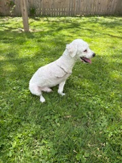 Photo 5 of 6 — Cooper Apr 26 In Foster in Greensboro, NC