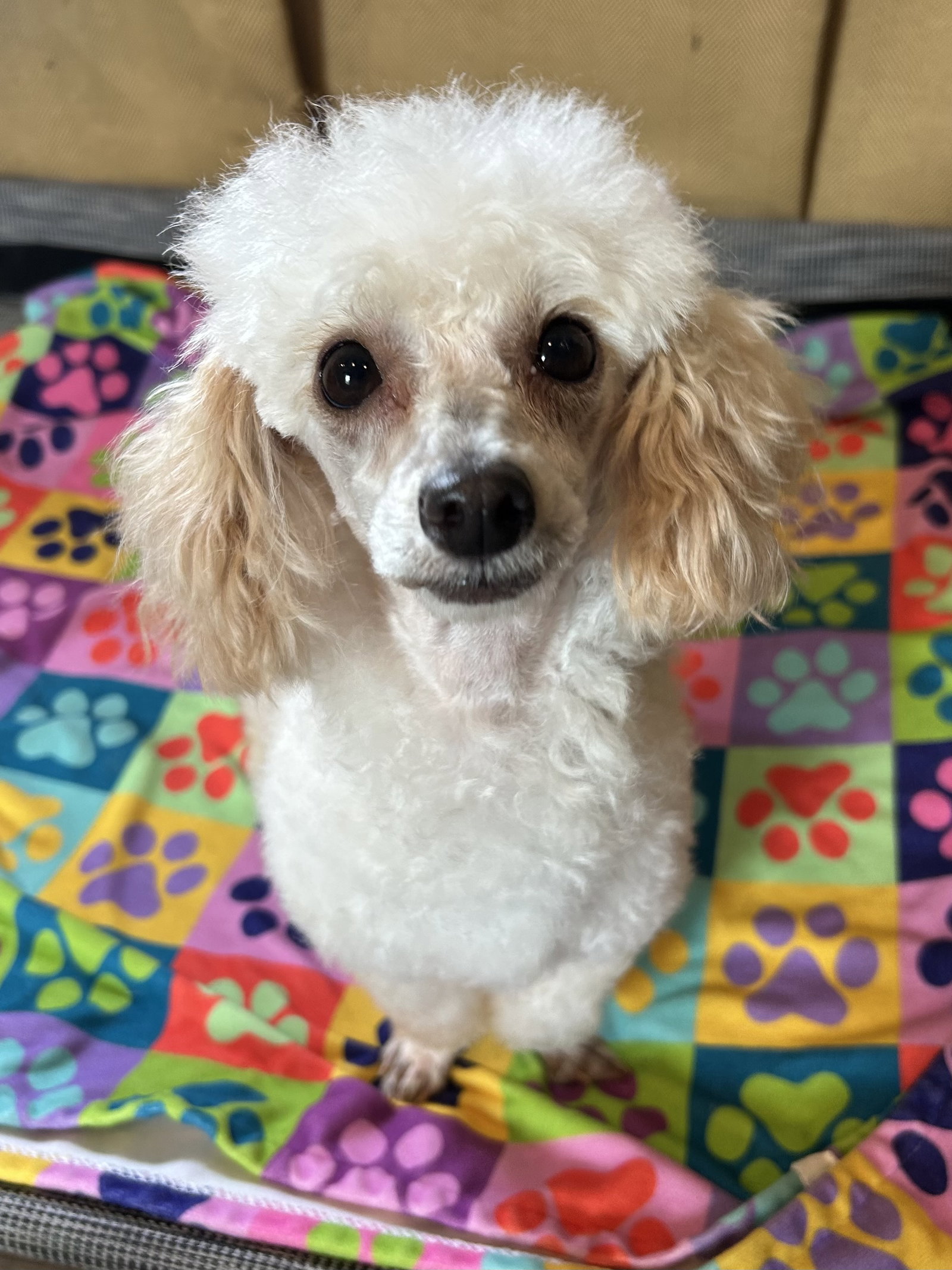 Photo 9 of 12 — Flo Jo APR 26