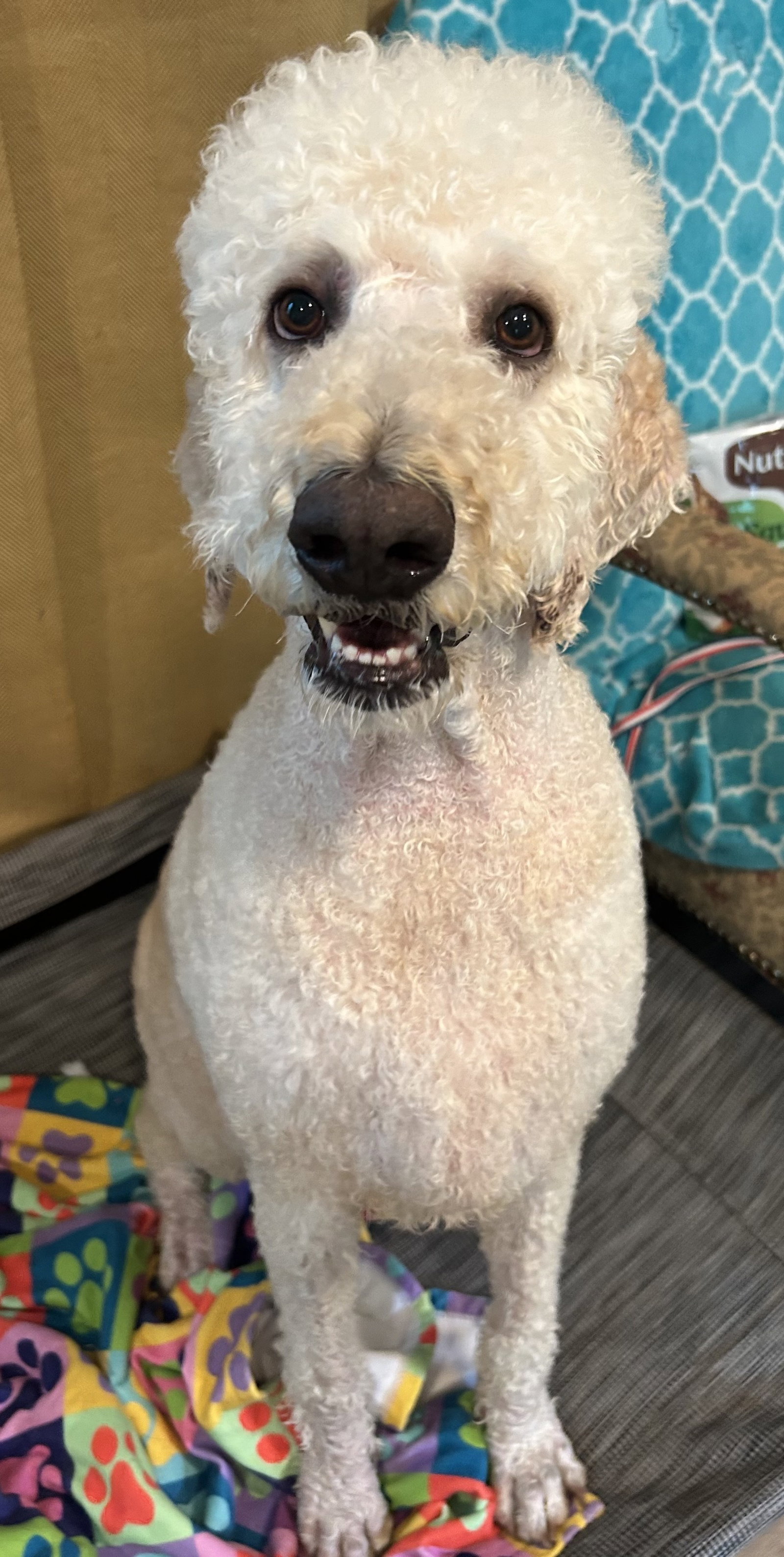 Photo 5 of 10 — Caden May 26 - I am special Available