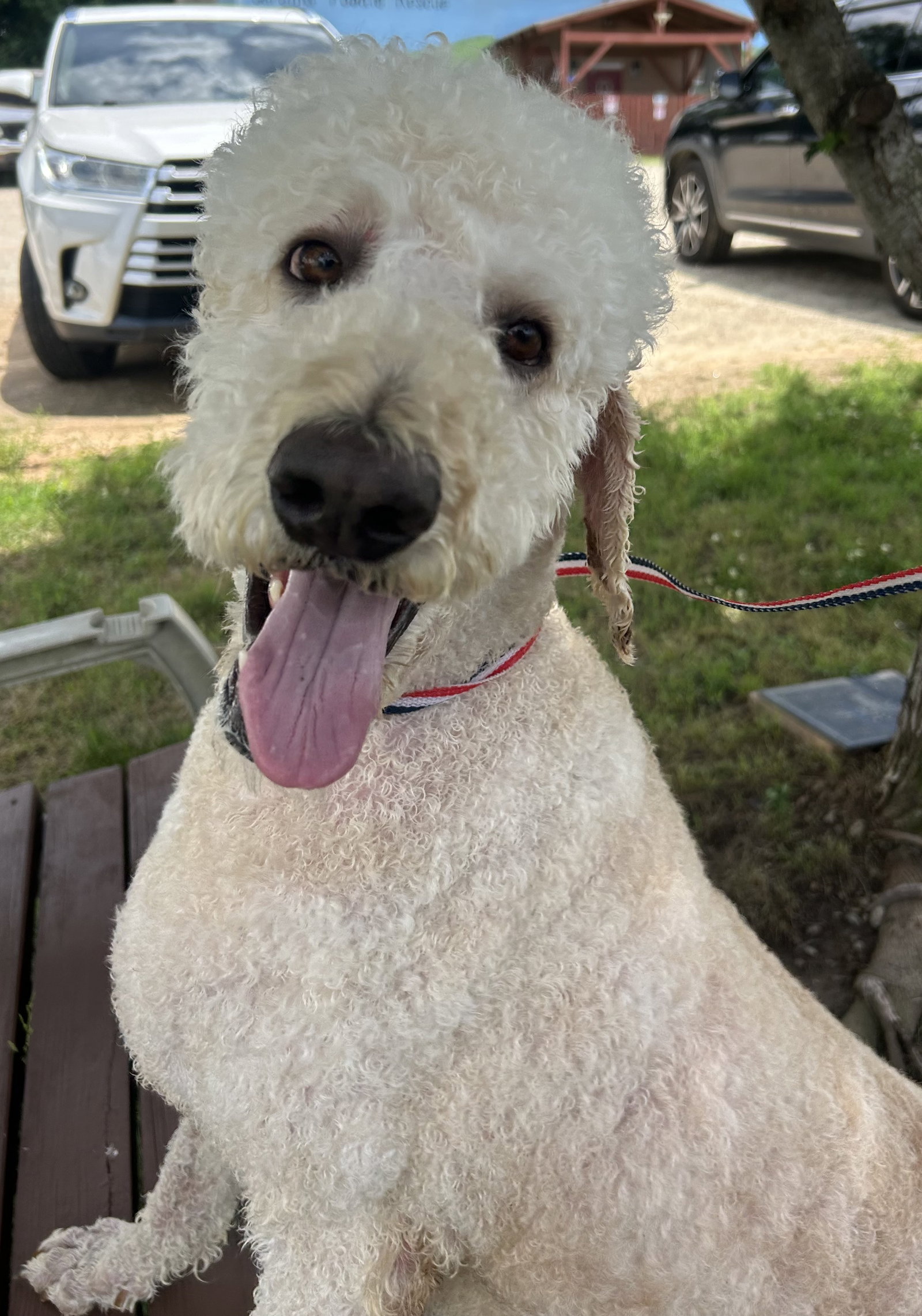 Photo 4 of 10 — Caden May 26 - I am special Available