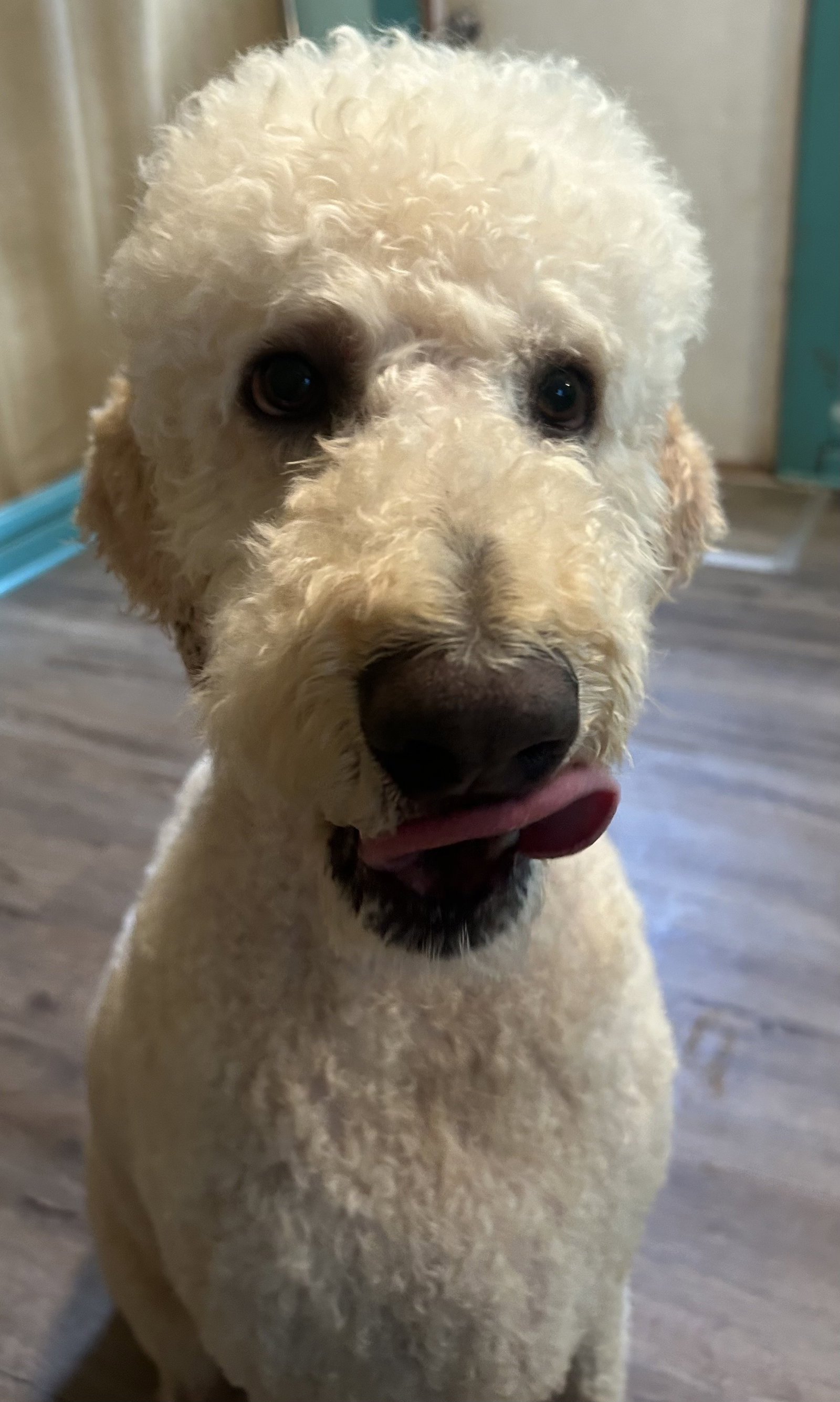 Photo 3 of 10 — Caden May 26 - I am special Available
