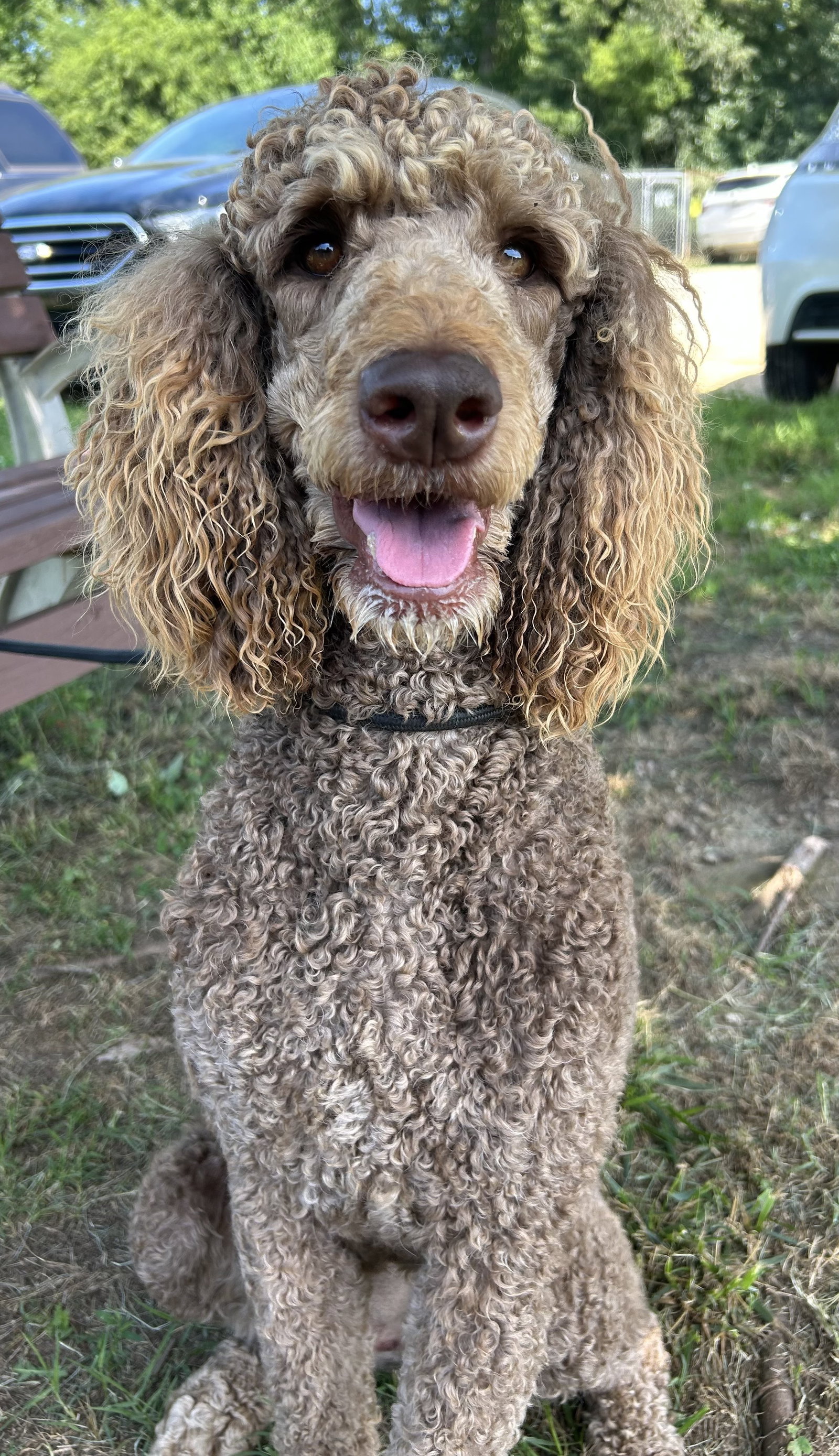 Photo 10 of 10 — Penny Apr 26