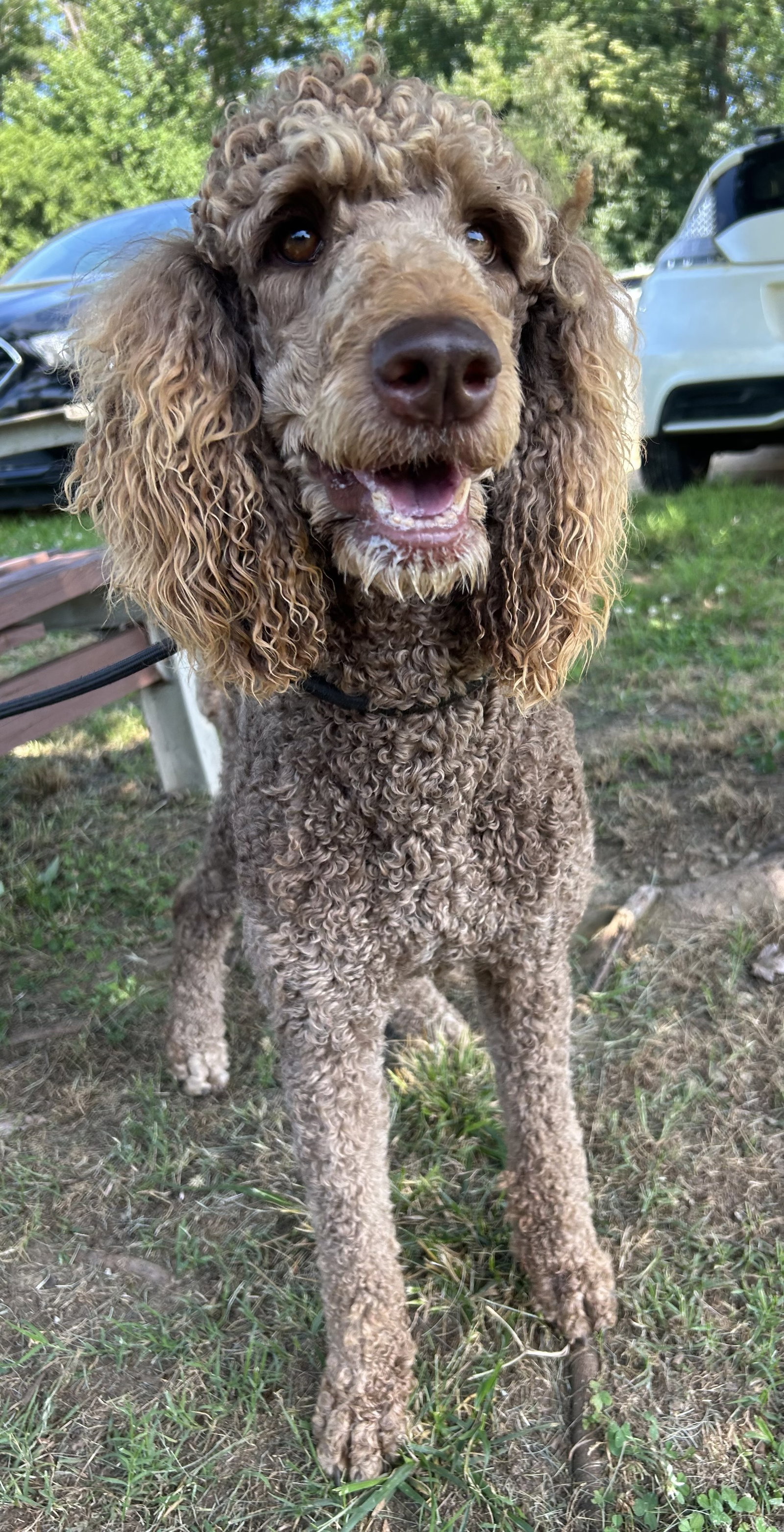 Photo 9 of 10 — Penny Apr 26