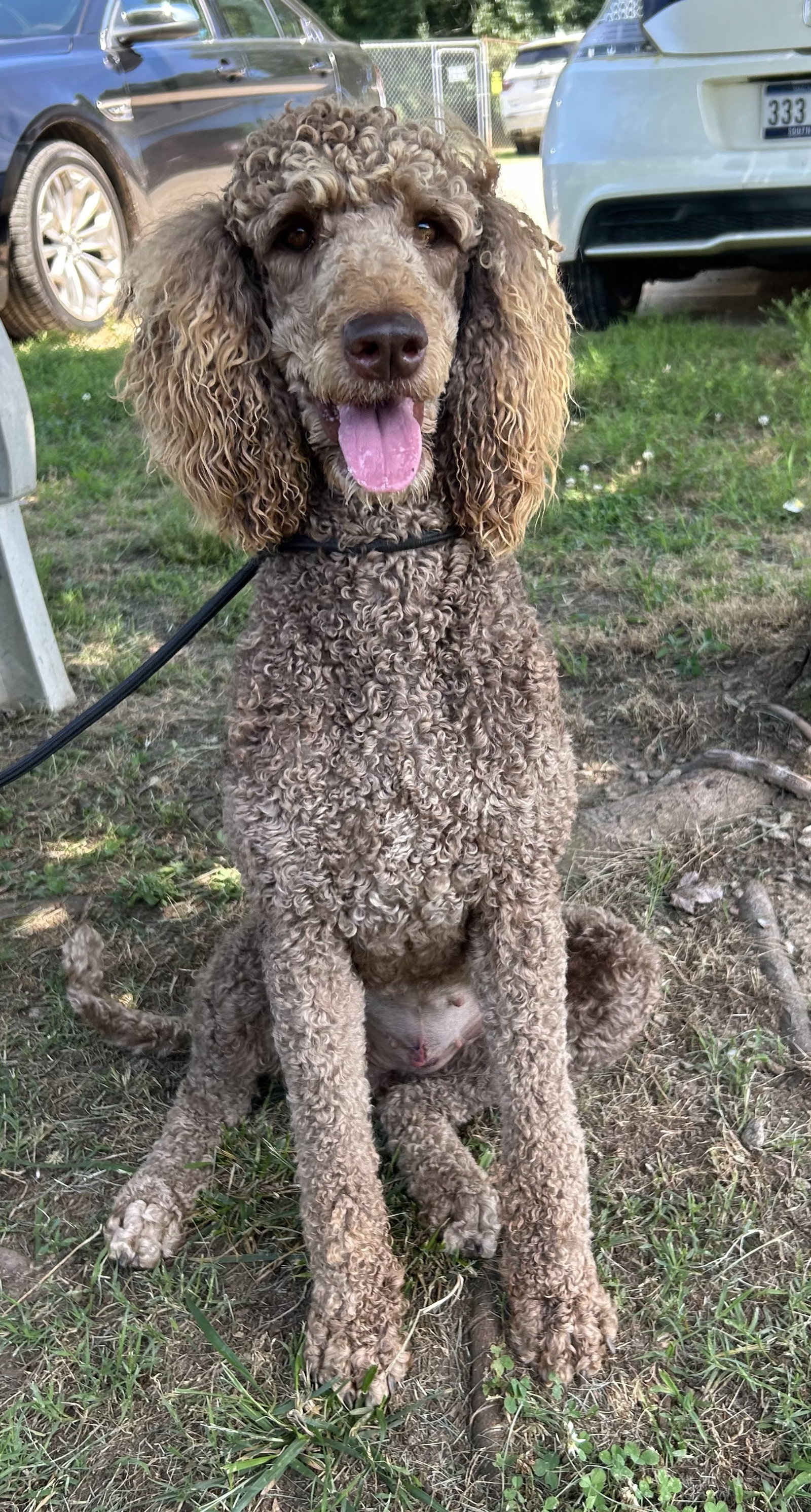Photo 7 of 10 — Penny Apr 26
