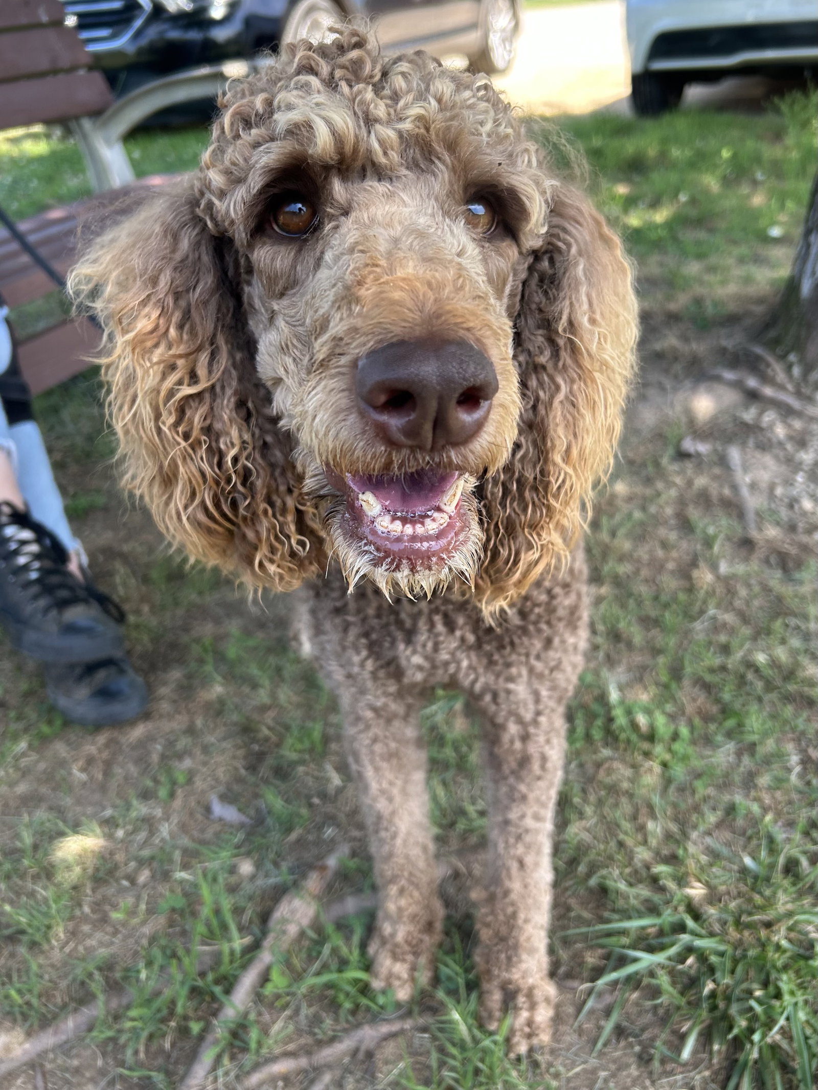 Photo 8 of 10 — Penny Apr 26