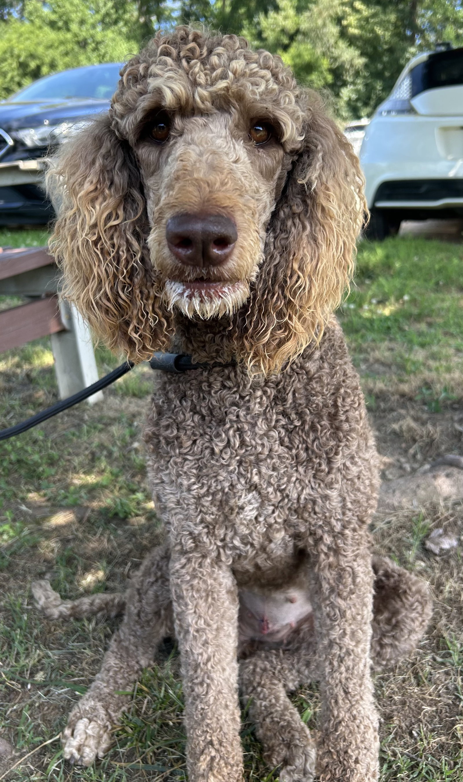 Photo 6 of 10 — Penny Apr 26
