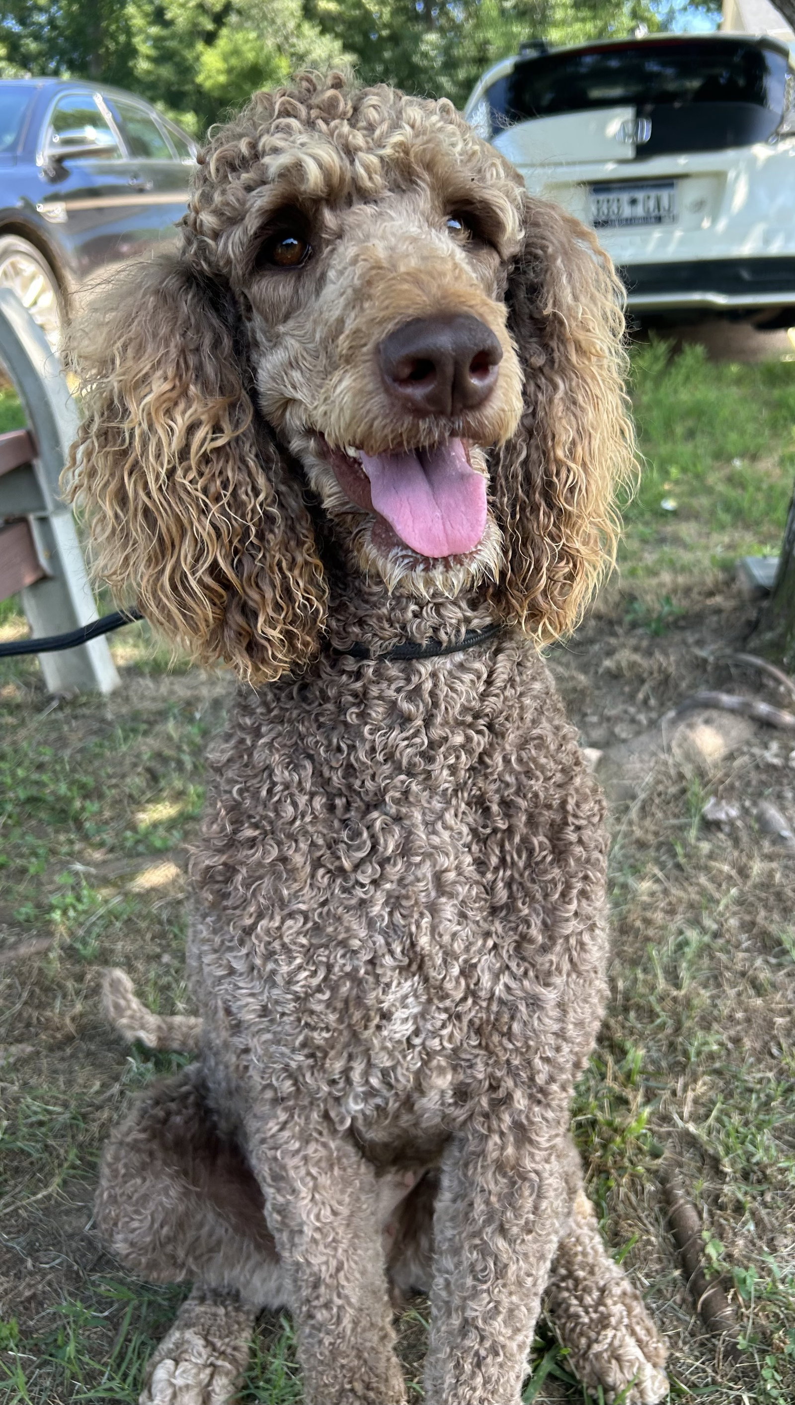 Photo 4 of 10 — Penny Apr 26