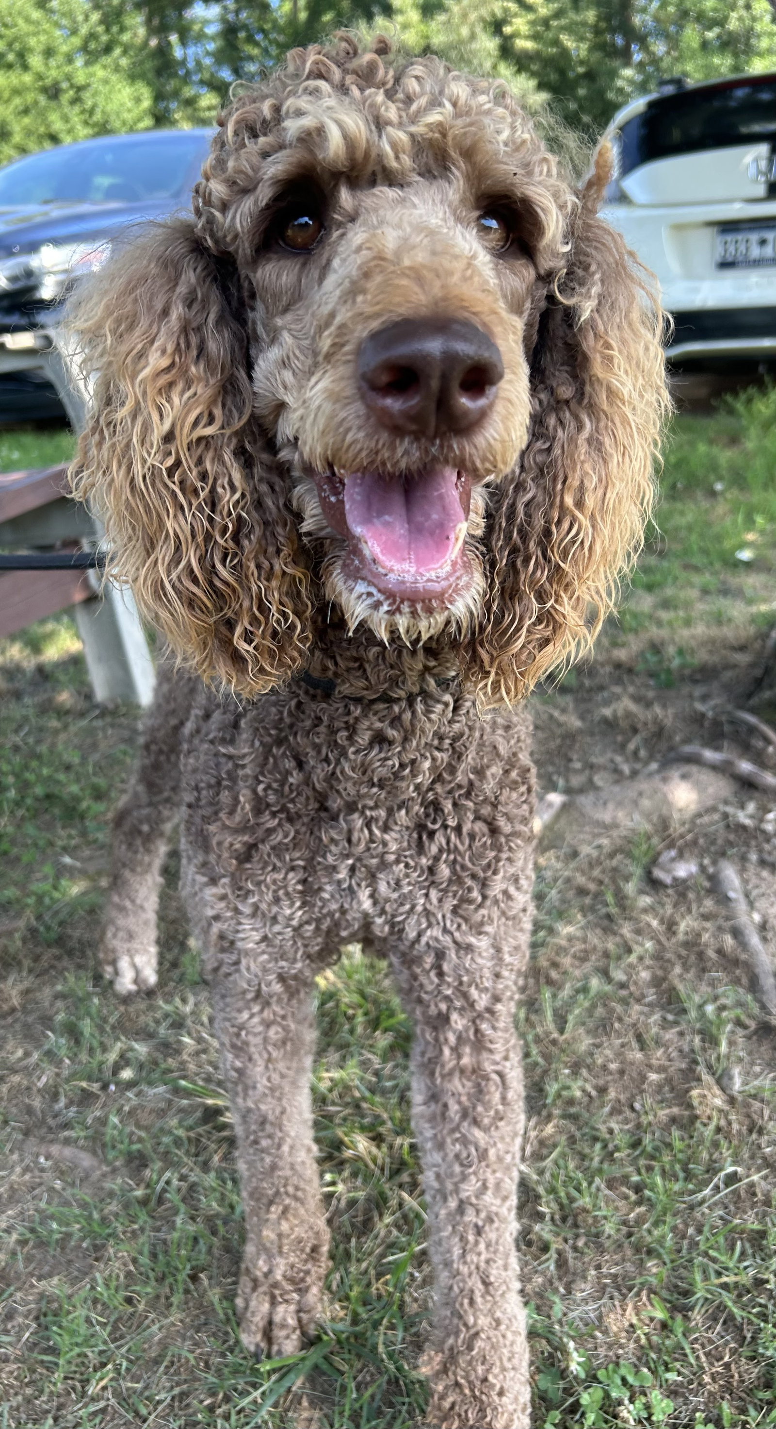 Photo 2 of 10 — Penny Apr 26