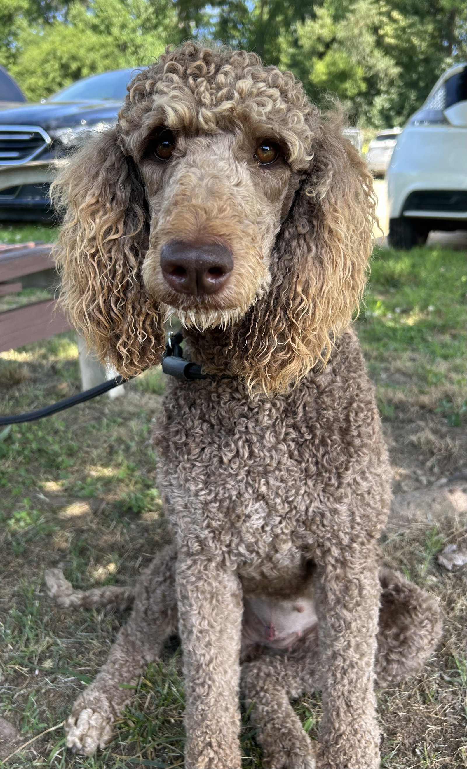 Photo 3 of 10 — Penny Apr 26