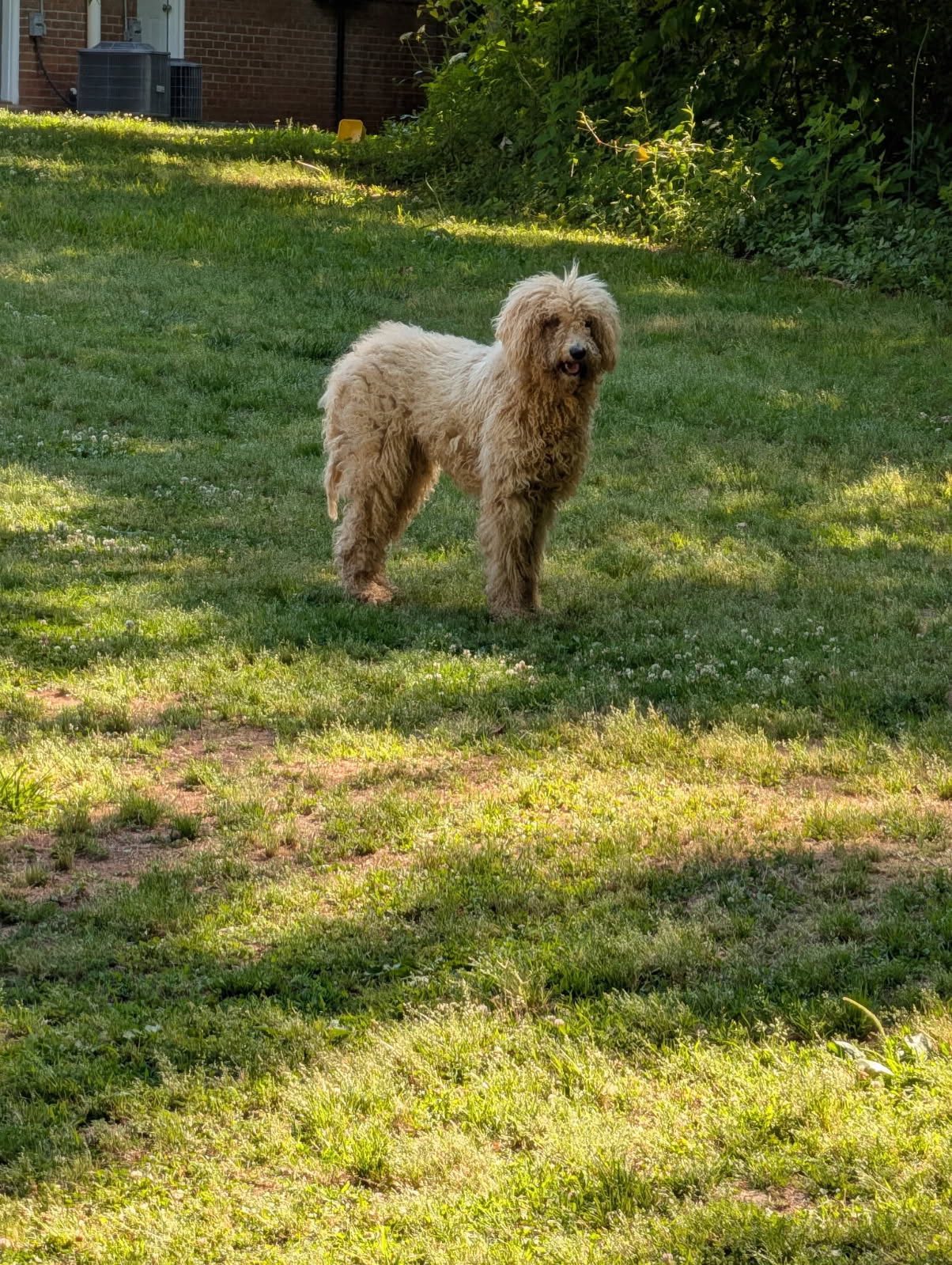 Photo 5 of 5 — Buffy Neal - May 26