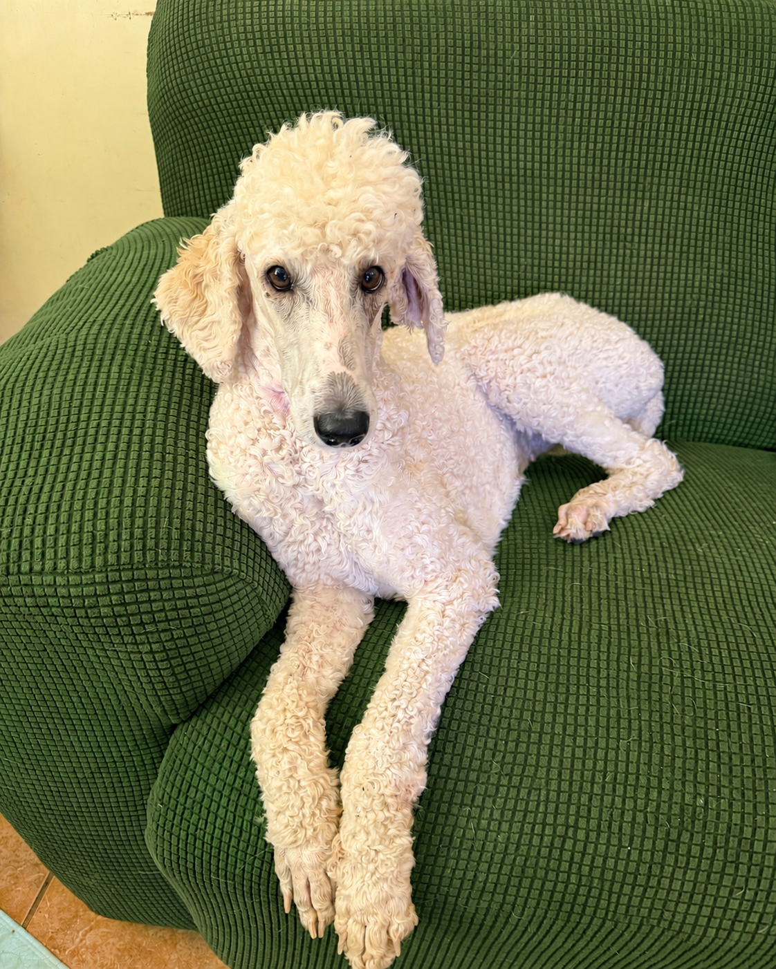 Photo of Buffy Neal - May 26