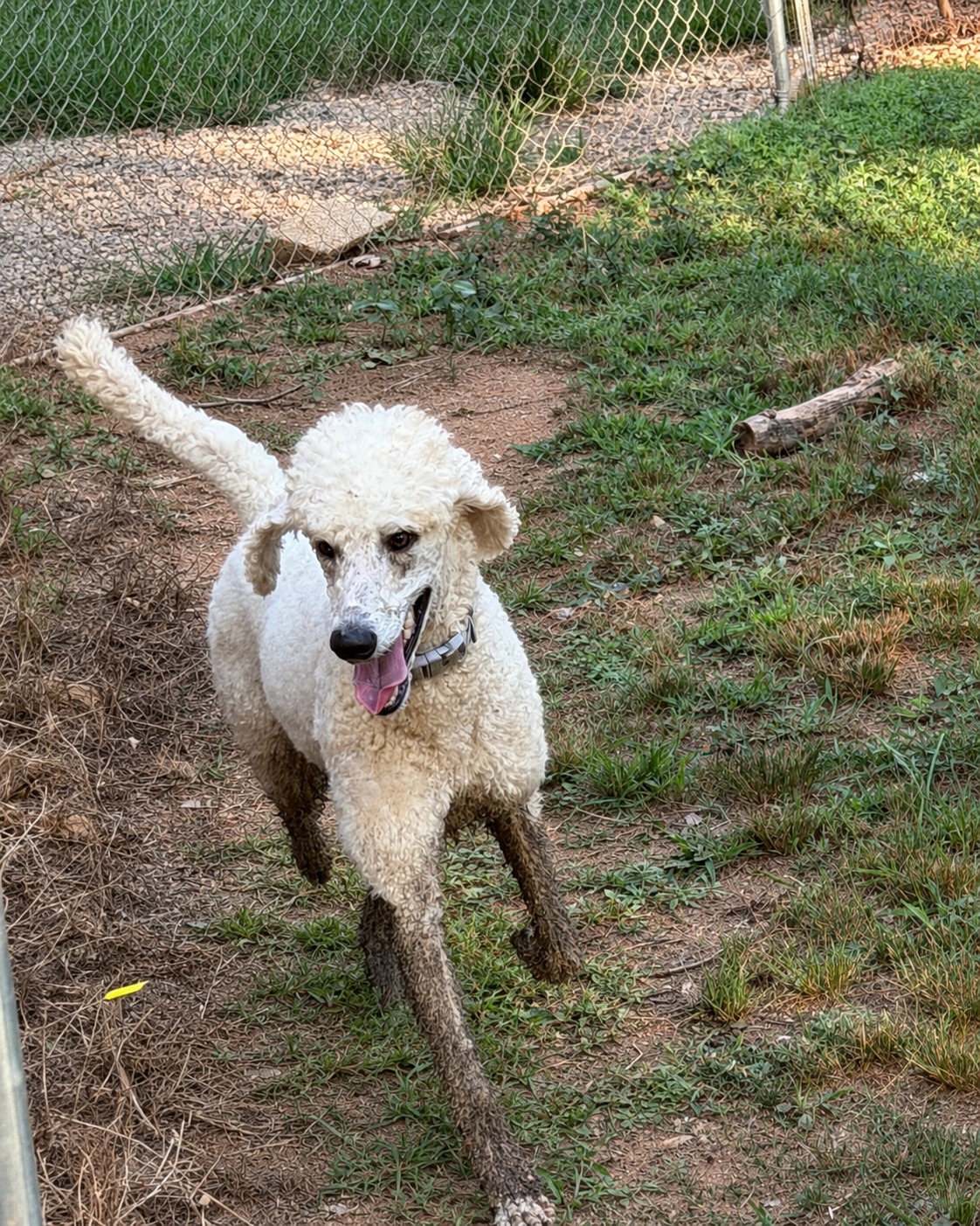 Photo 3 of 5 — Buffy Neal - May 26