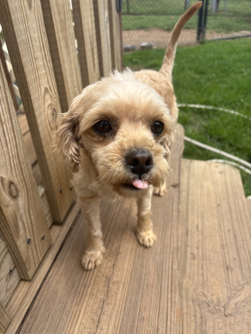 Luna May 26 photo 3