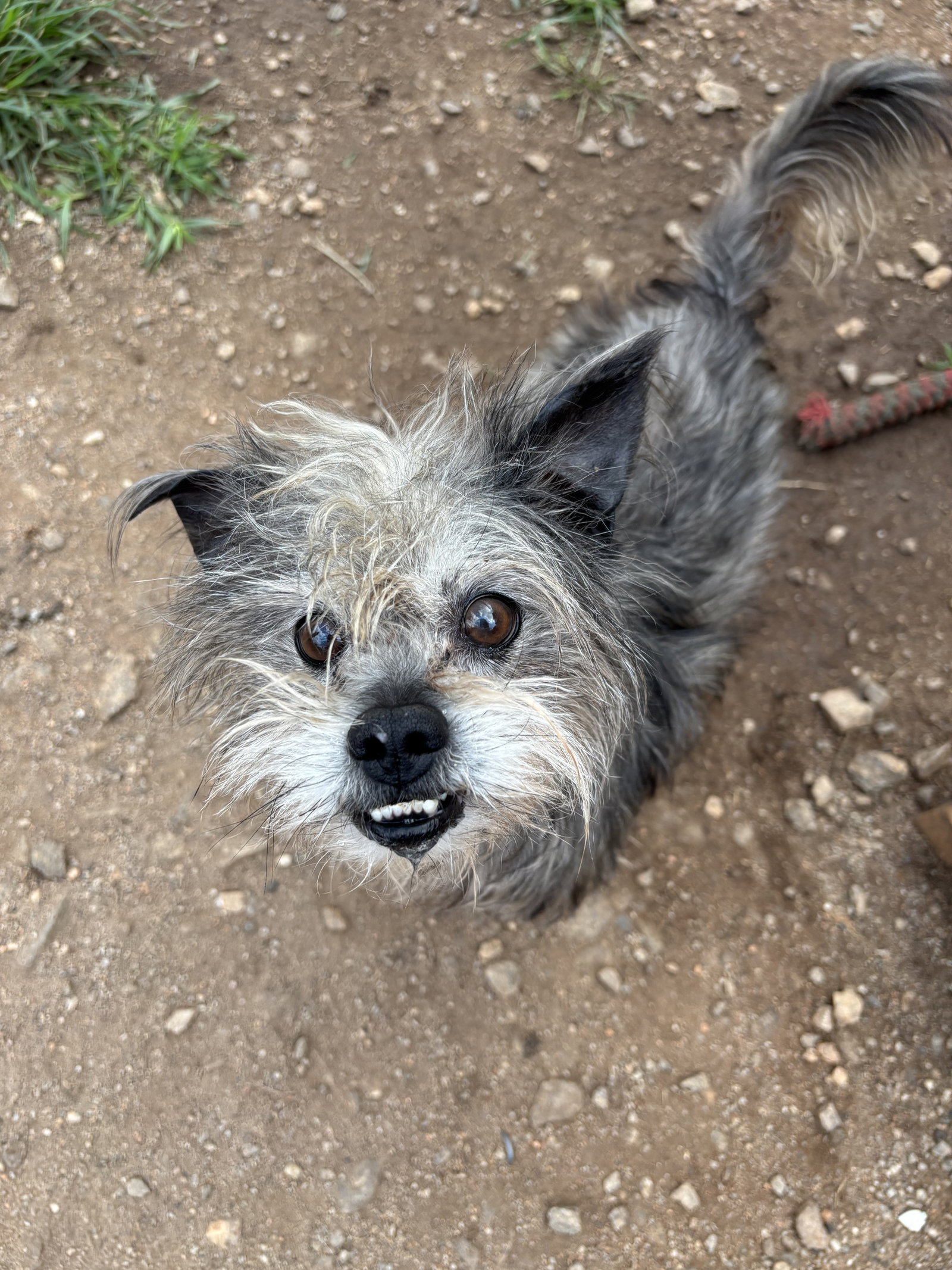 Photo 4 of 6 — Charlie Brown May 26