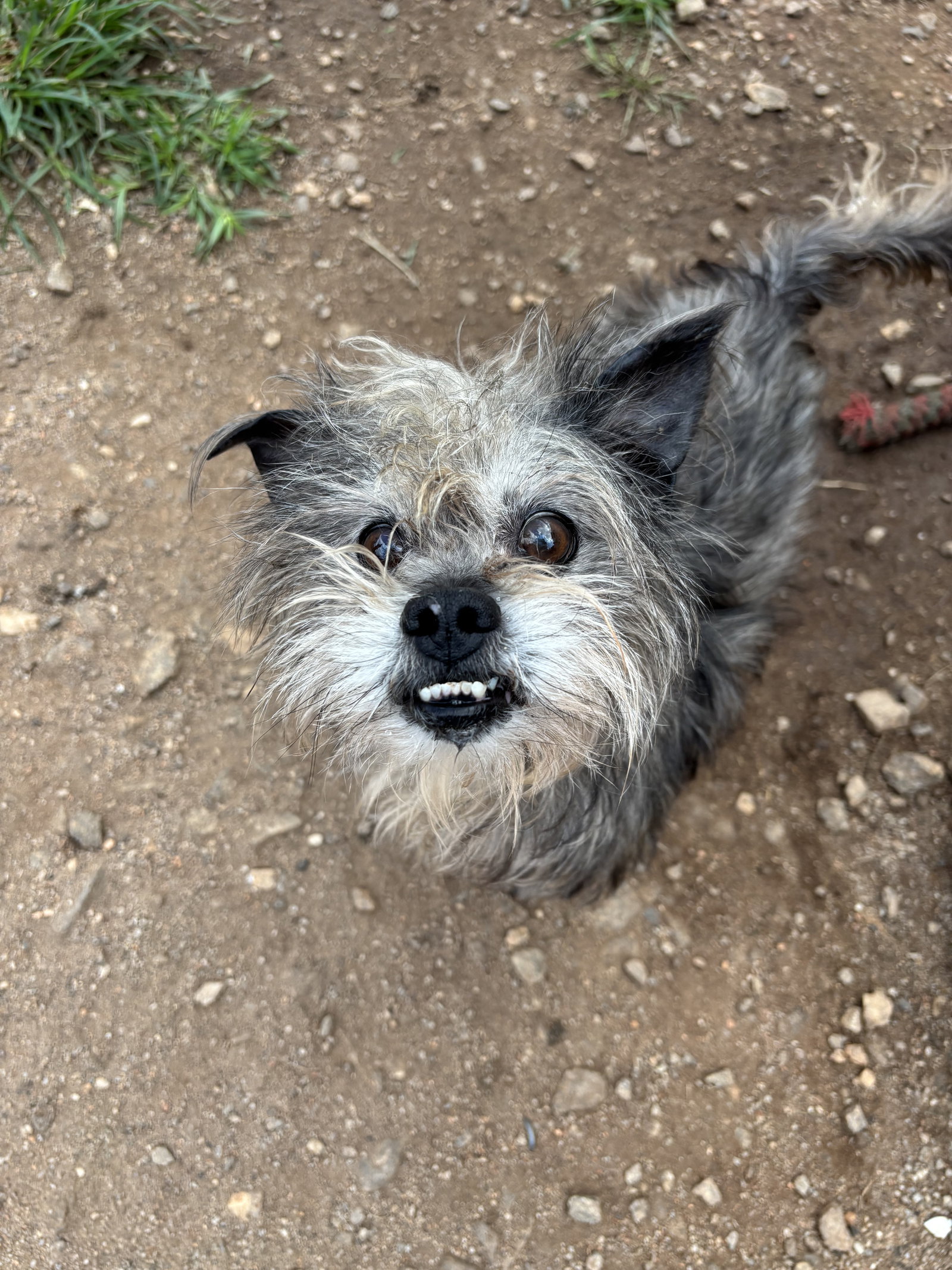 Photo 5 of 6 — Charlie Brown May 26