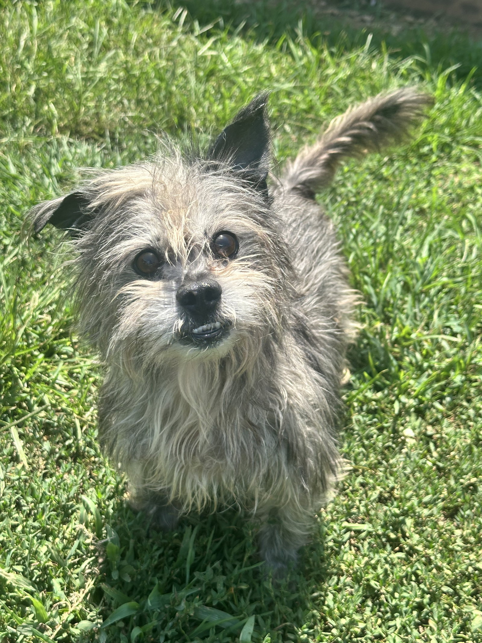 Photo 2 of 6 — Charlie Brown May 26