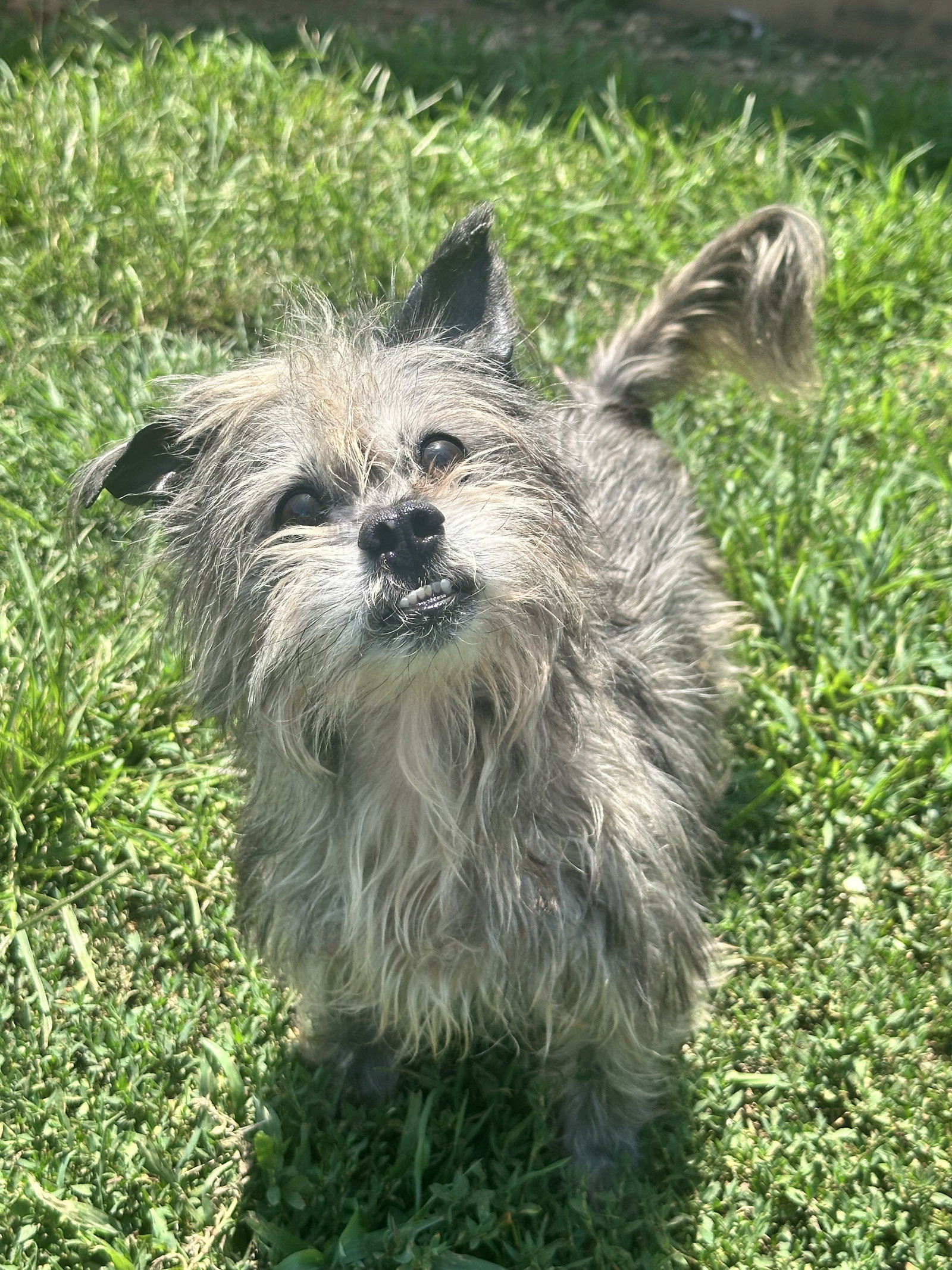 Photo of Charlie Brown May 26