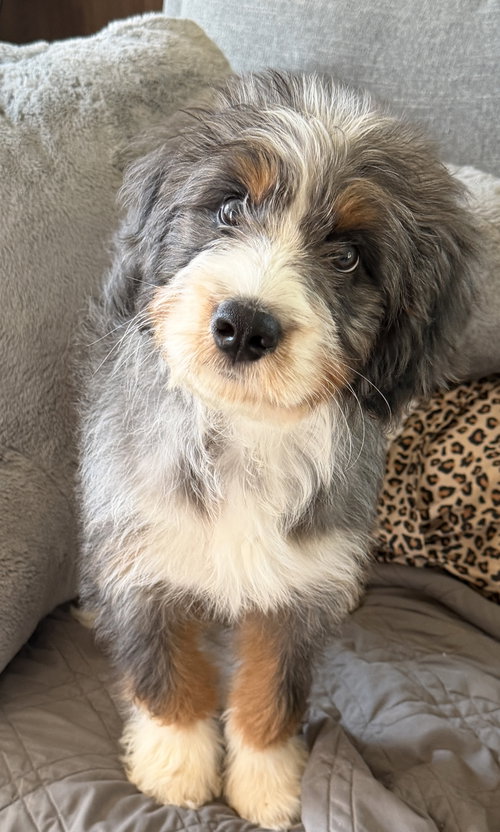 Max May 26