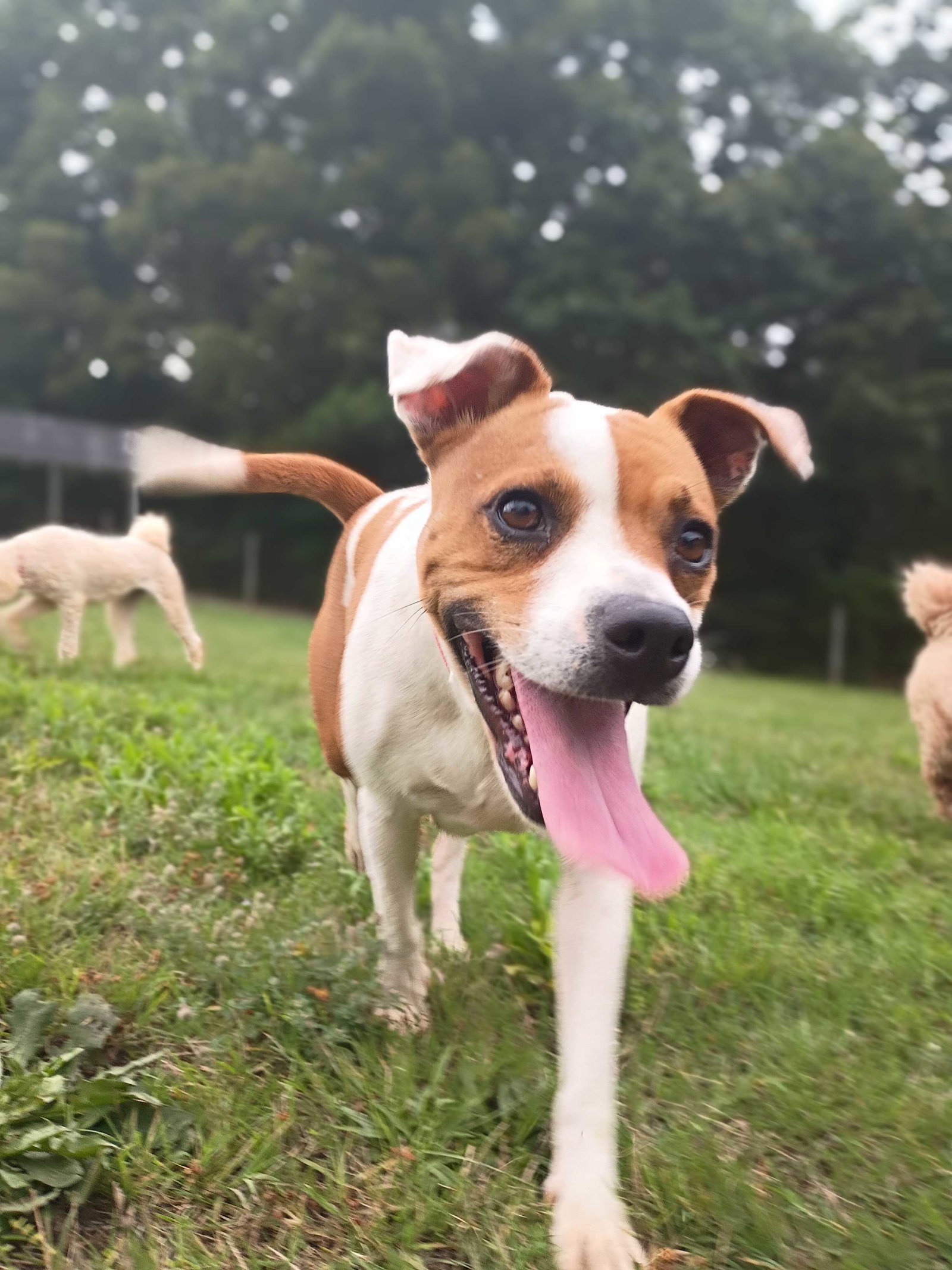 Photo 6 of 8 — Stella May 26