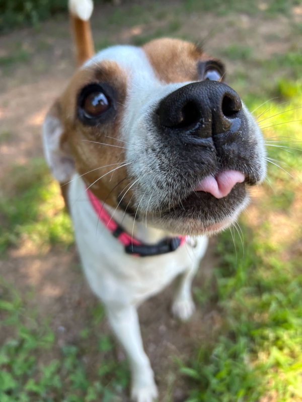 Stella May 26