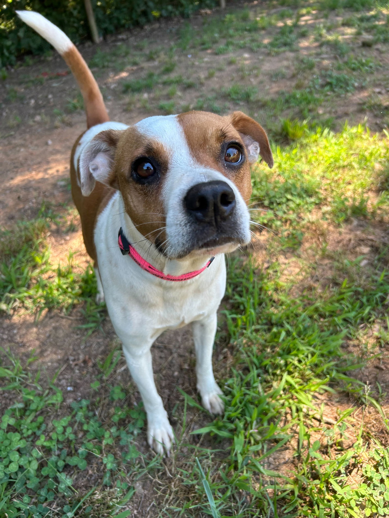 Photo 7 of 8 — Stella May 26