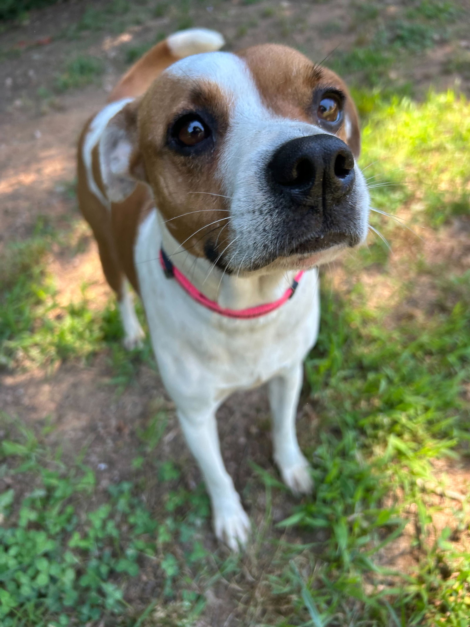 Photo 5 of 8 — Stella May 26