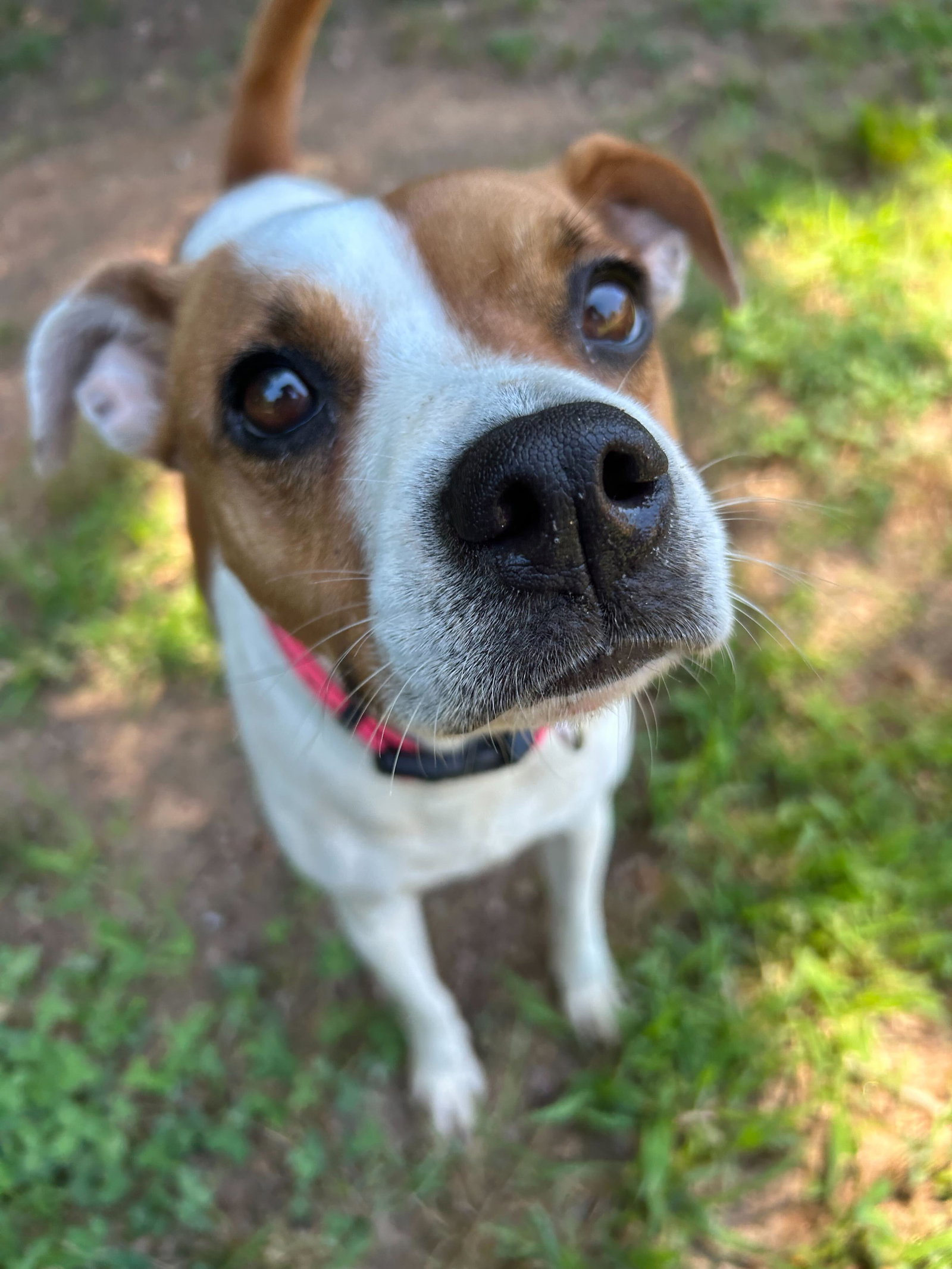 Photo 2 of 8 — Stella May 26