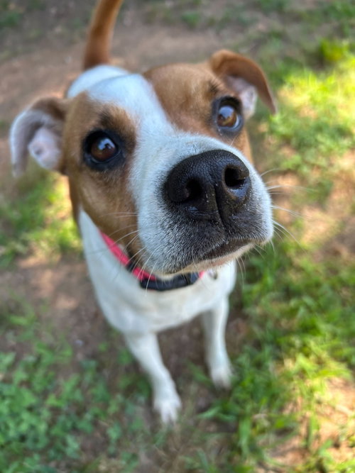 Stella May 26 photo 2