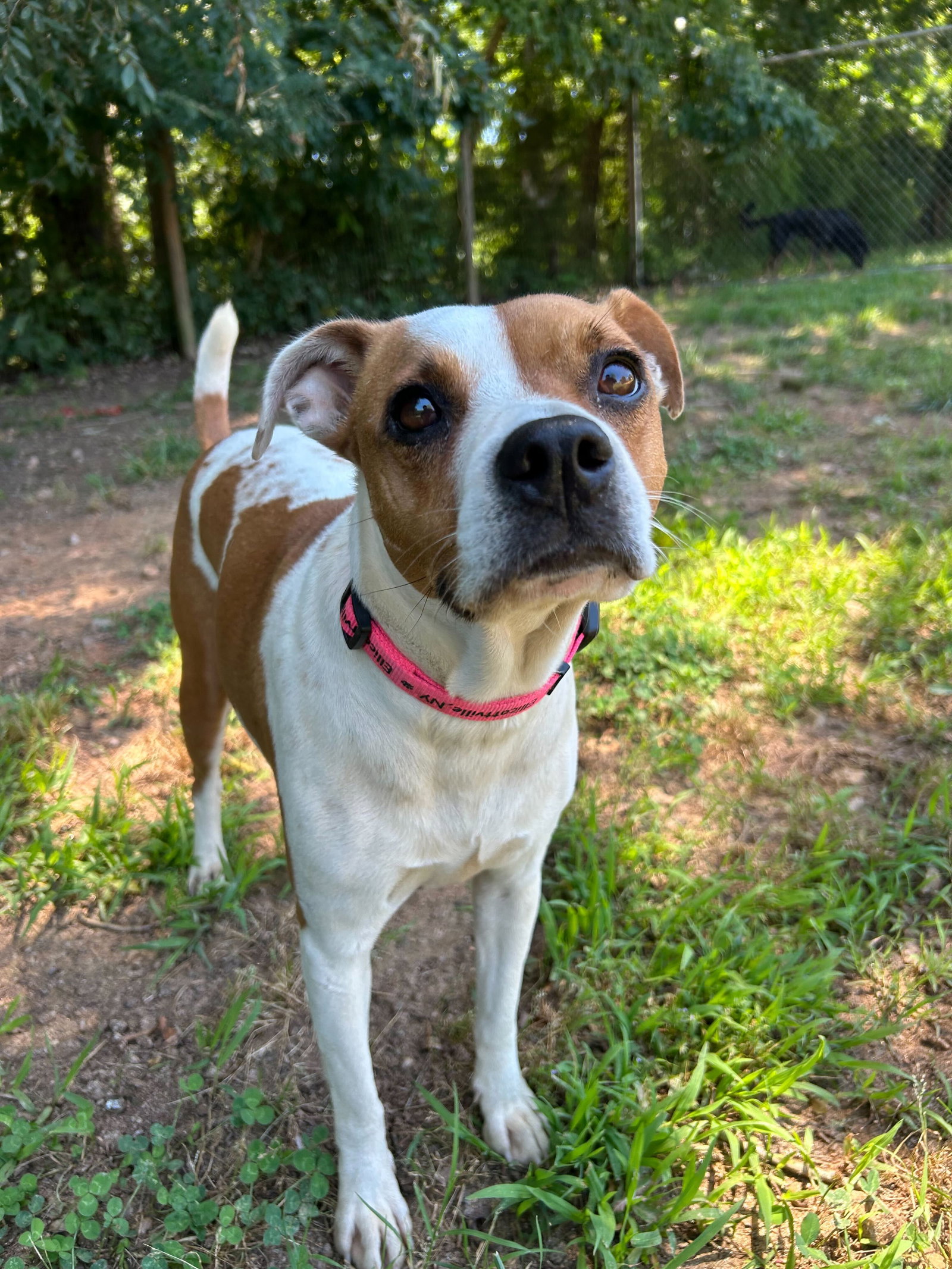 Photo 3 of 8 — Stella May 26