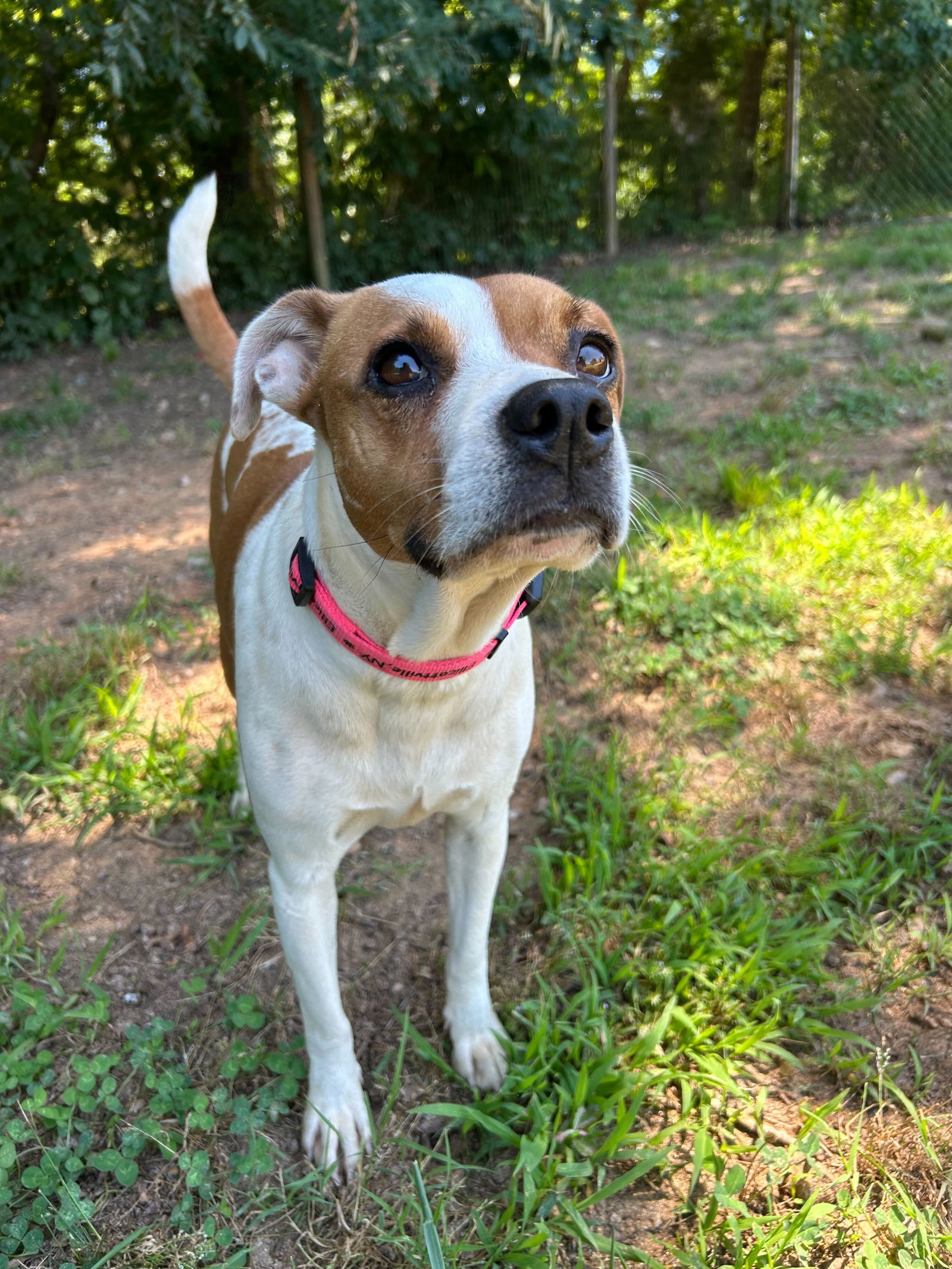 Photo 4 of 8 — Stella May 26