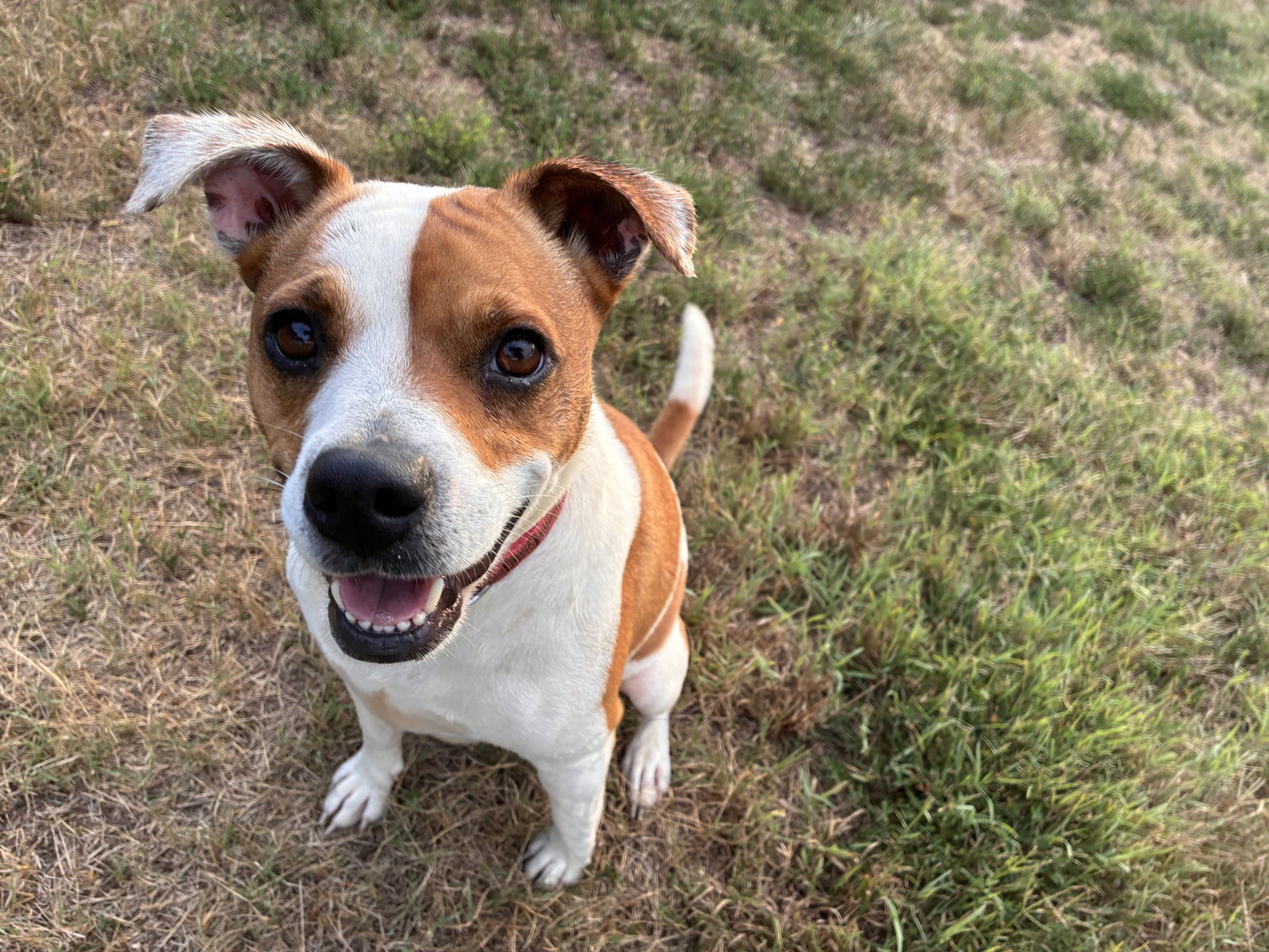 Photo 2 of 11 — Stella May 26