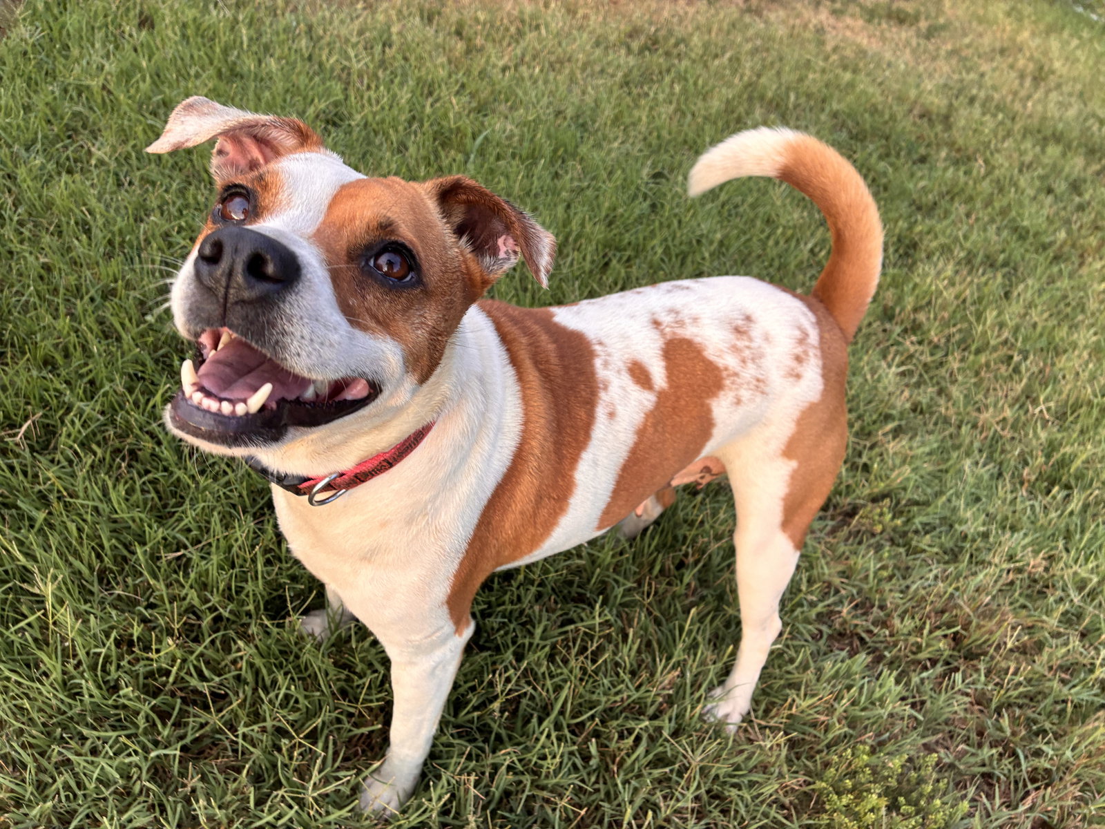 Photo 4 of 11 — Stella May 26