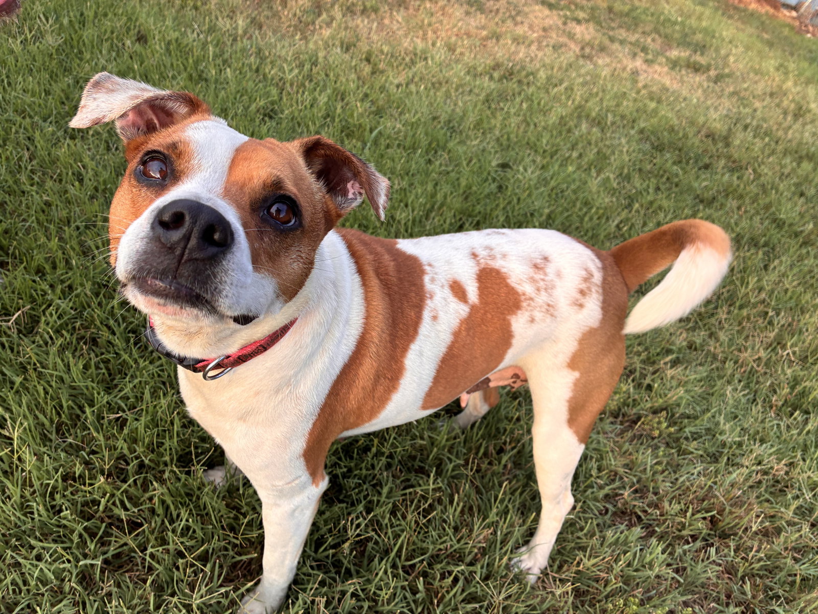 Photo 5 of 11 — Stella May 26