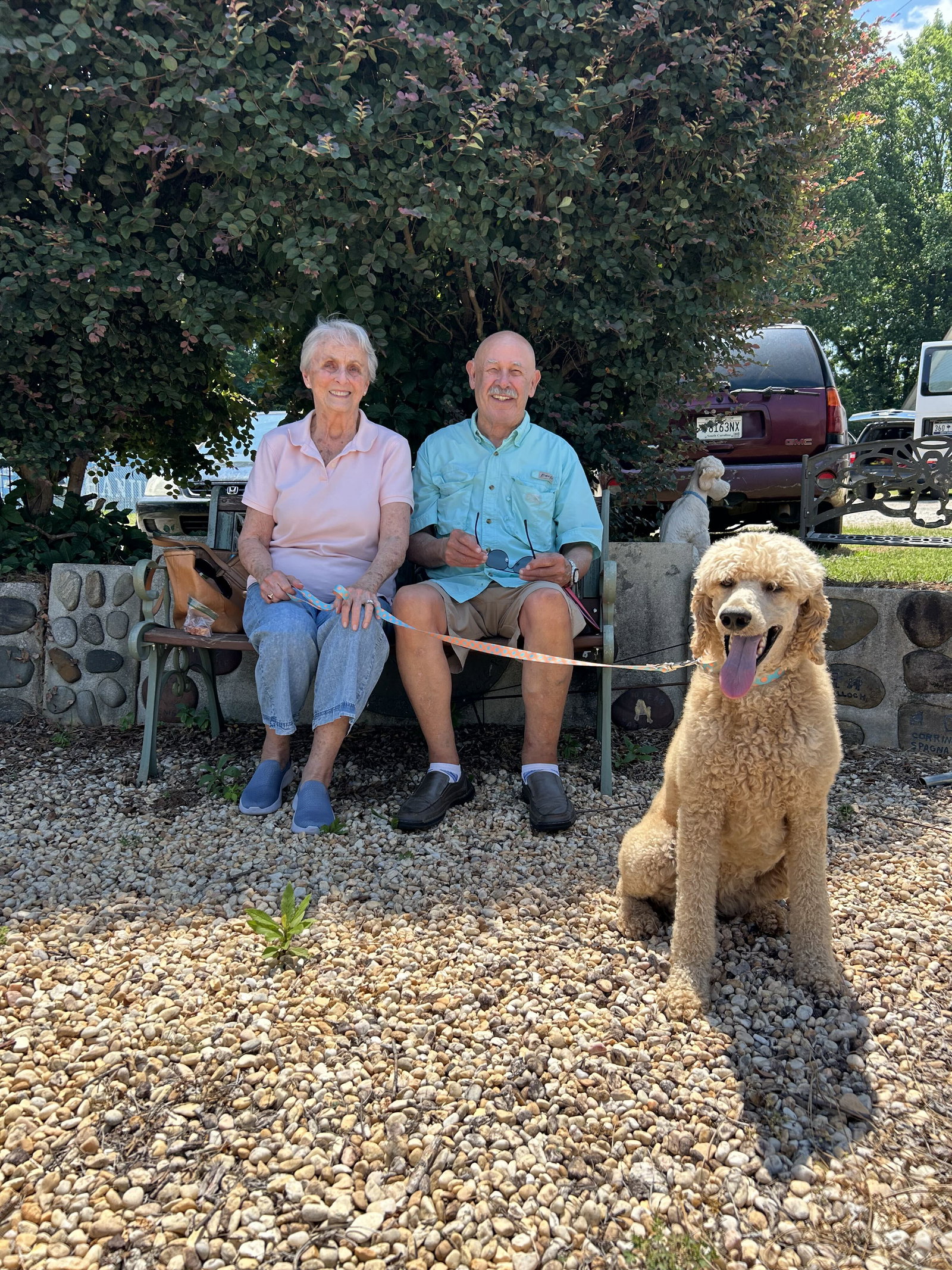 Photo 1 of 10 — Sunny Jun 26