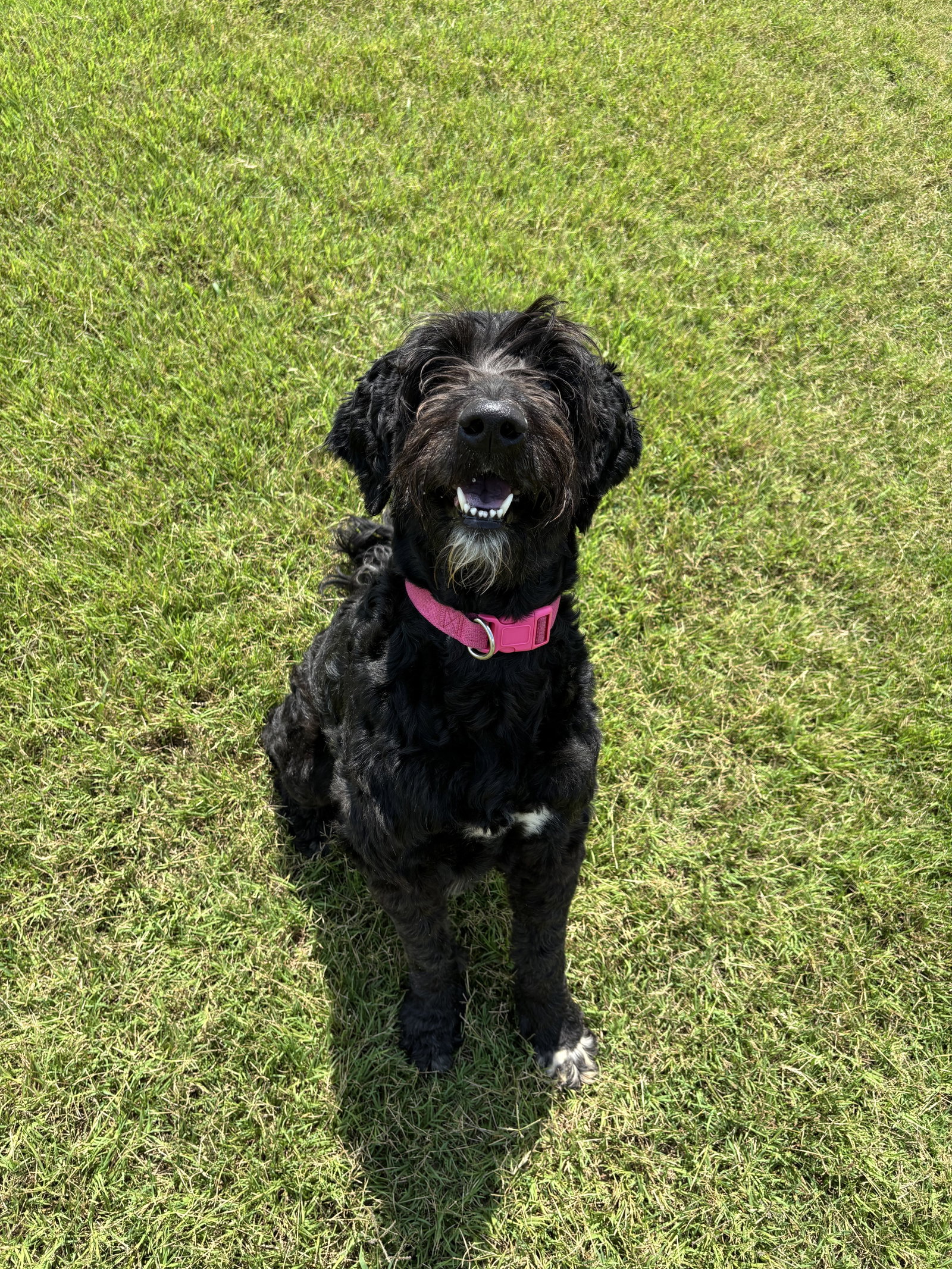 Photo 6 of 9 — Lola Mae June 26