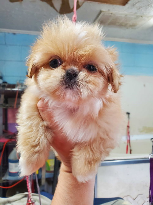 Winnie Apr 26 photo 6