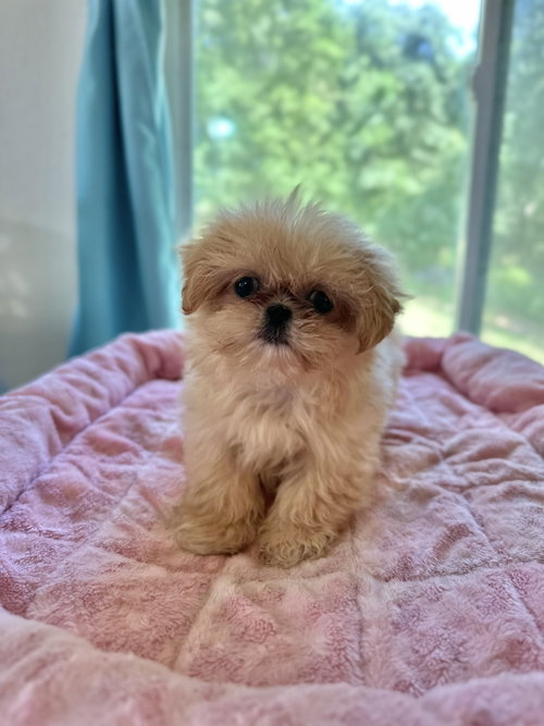 Winnie Apr 26