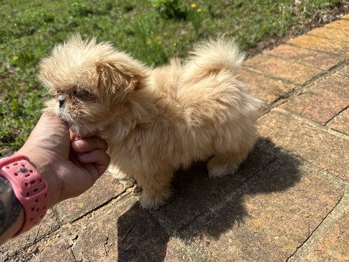 Winnie Apr 26 photo 2