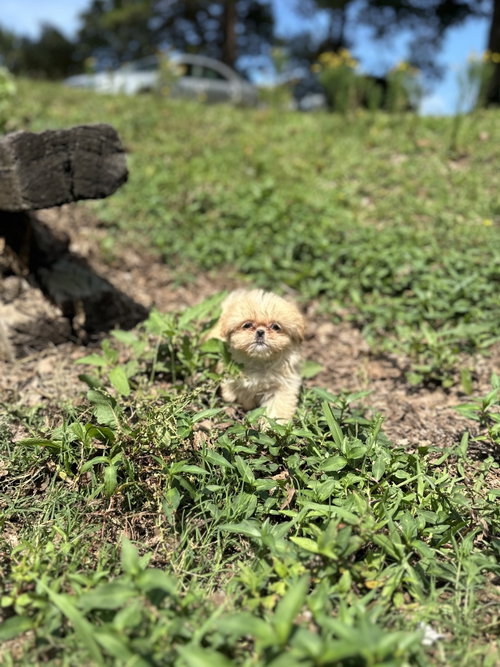 Winnie Apr 26 photo 5